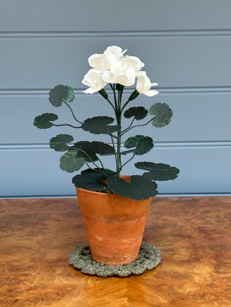 Geranium