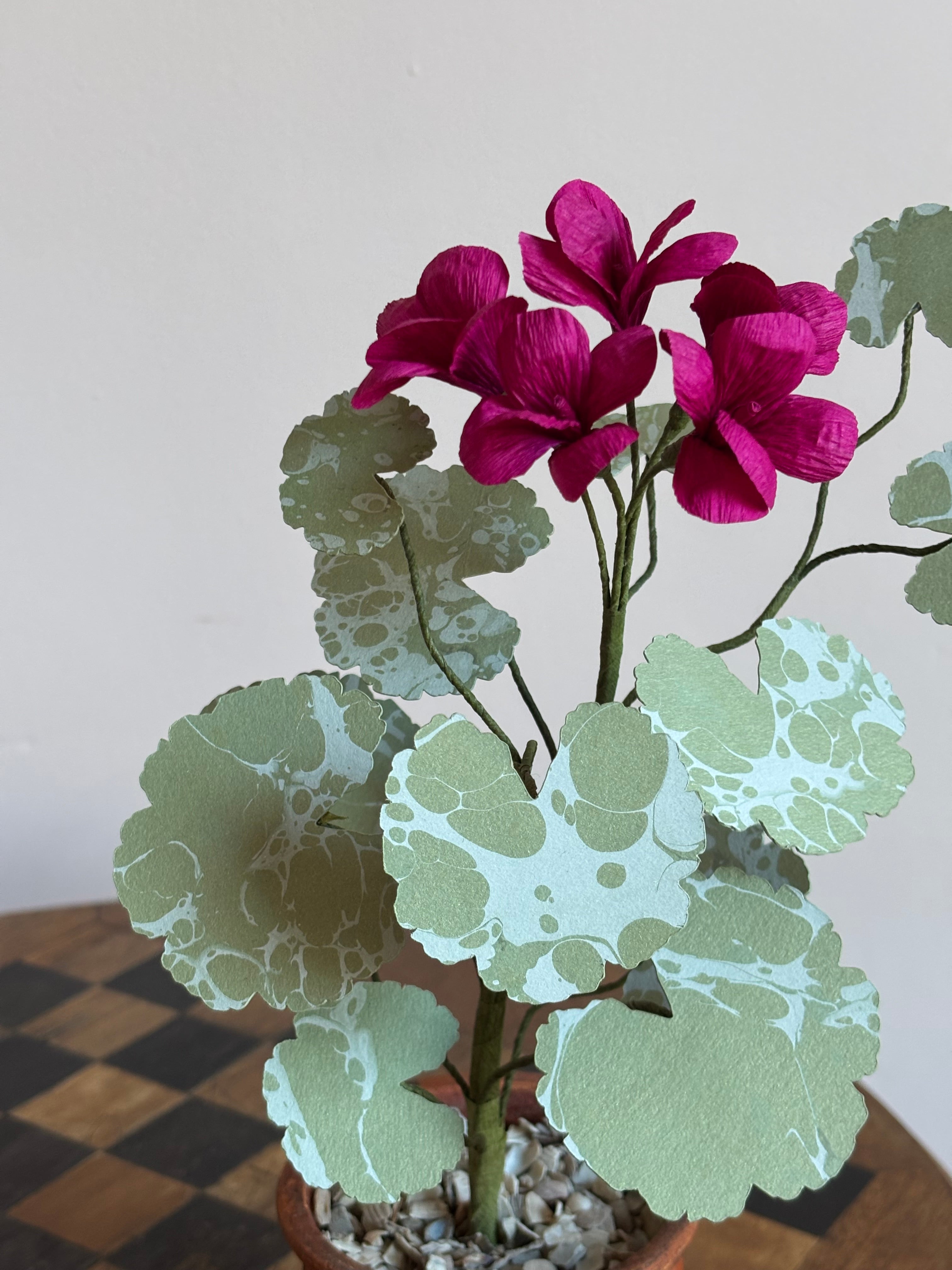 Paper Geranium