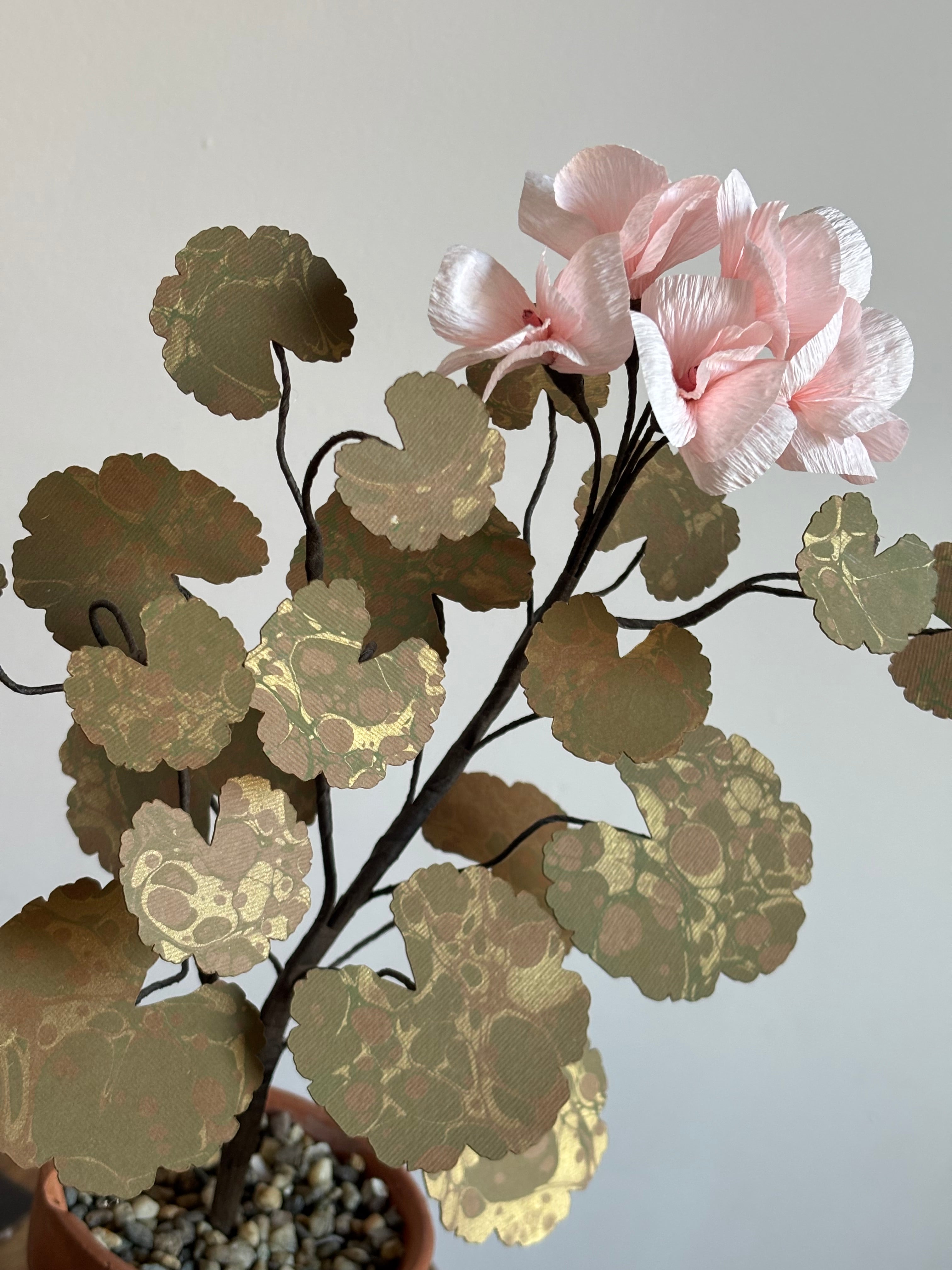 Paper Geranium