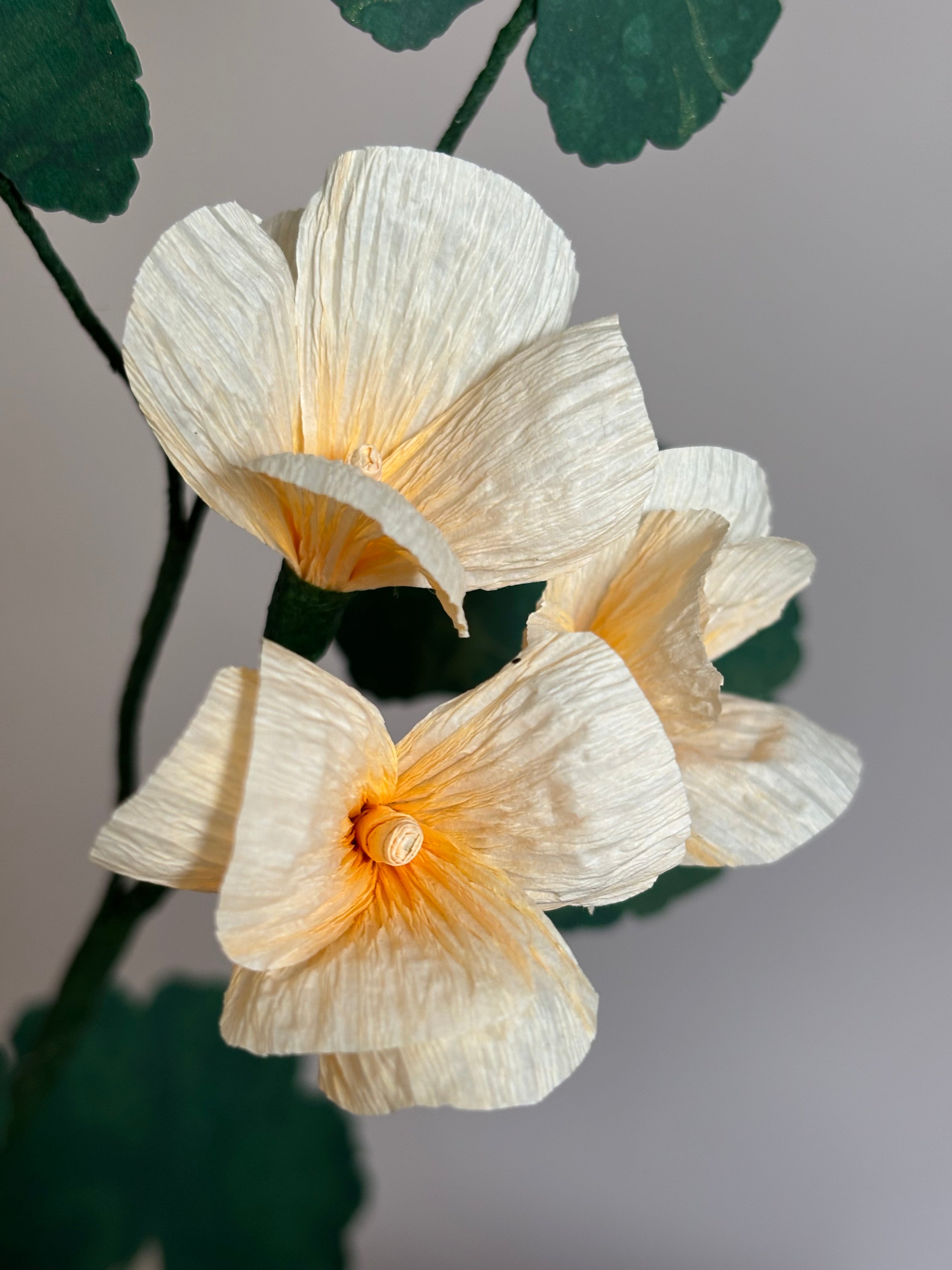 Paper Geranium