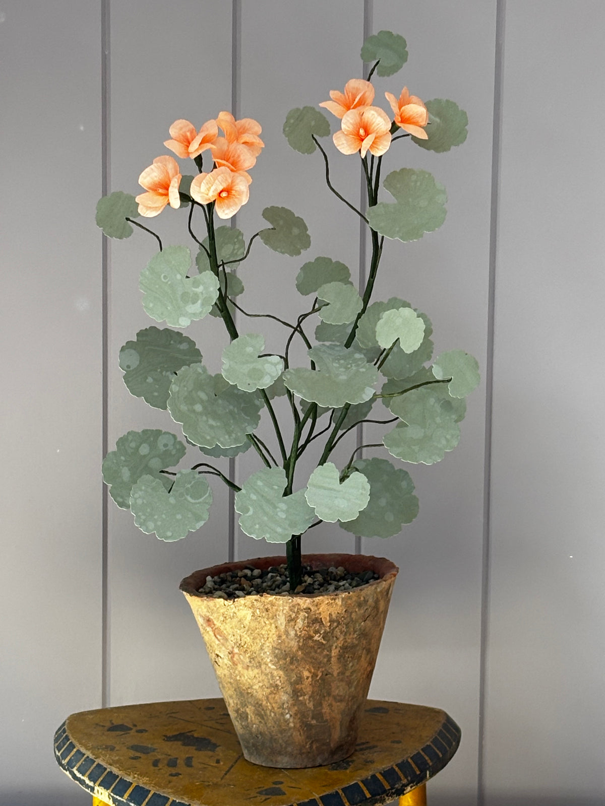 Paper geranium