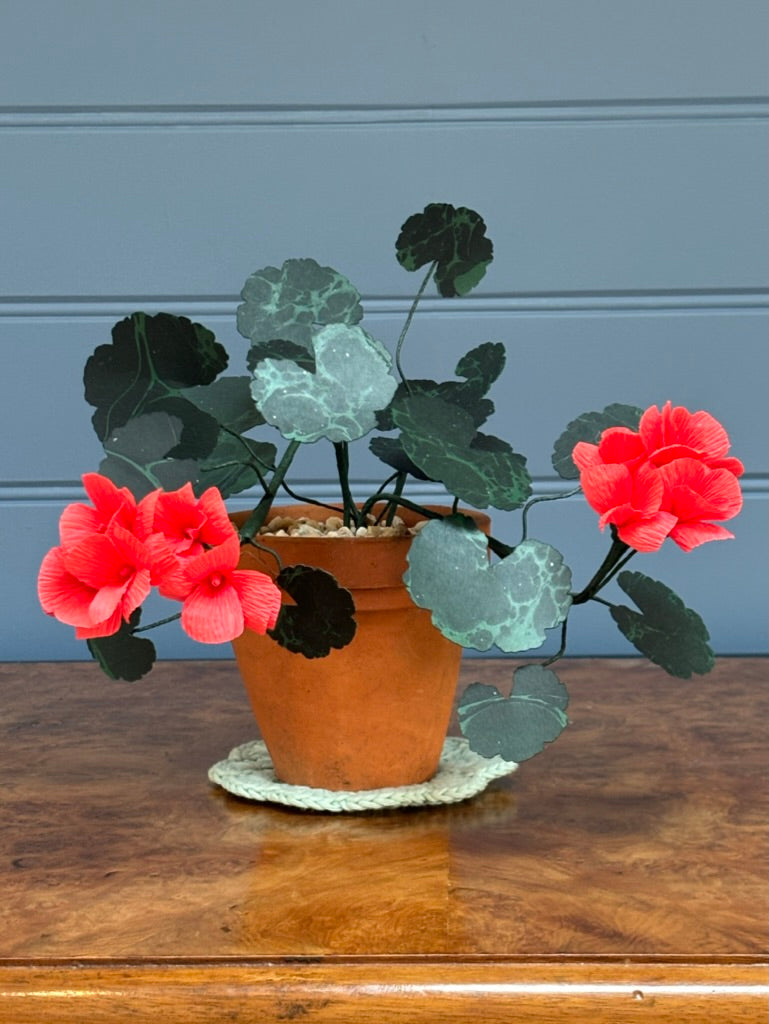 Geranium, trailing