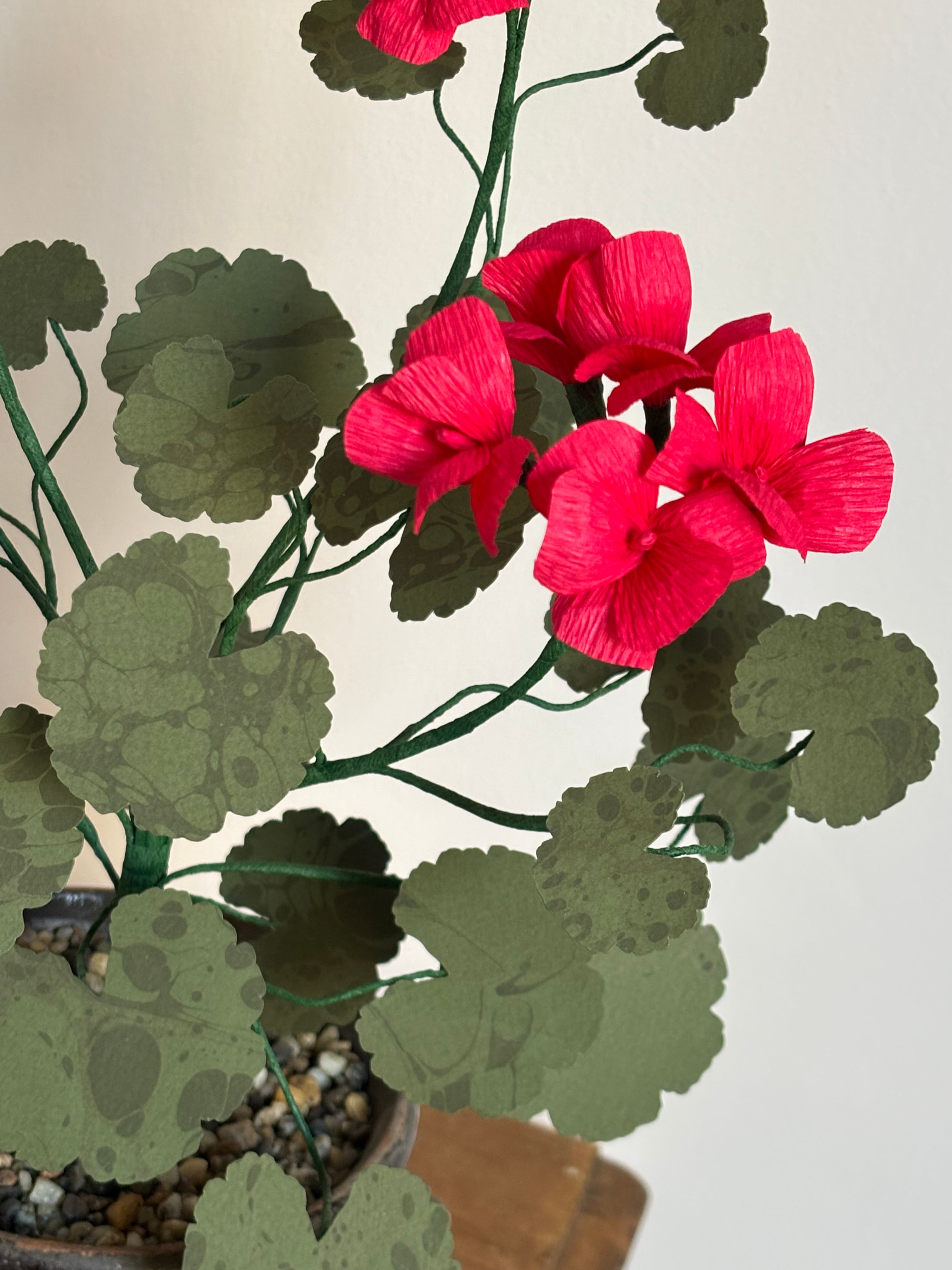 Paper Geranium * no international shipping*