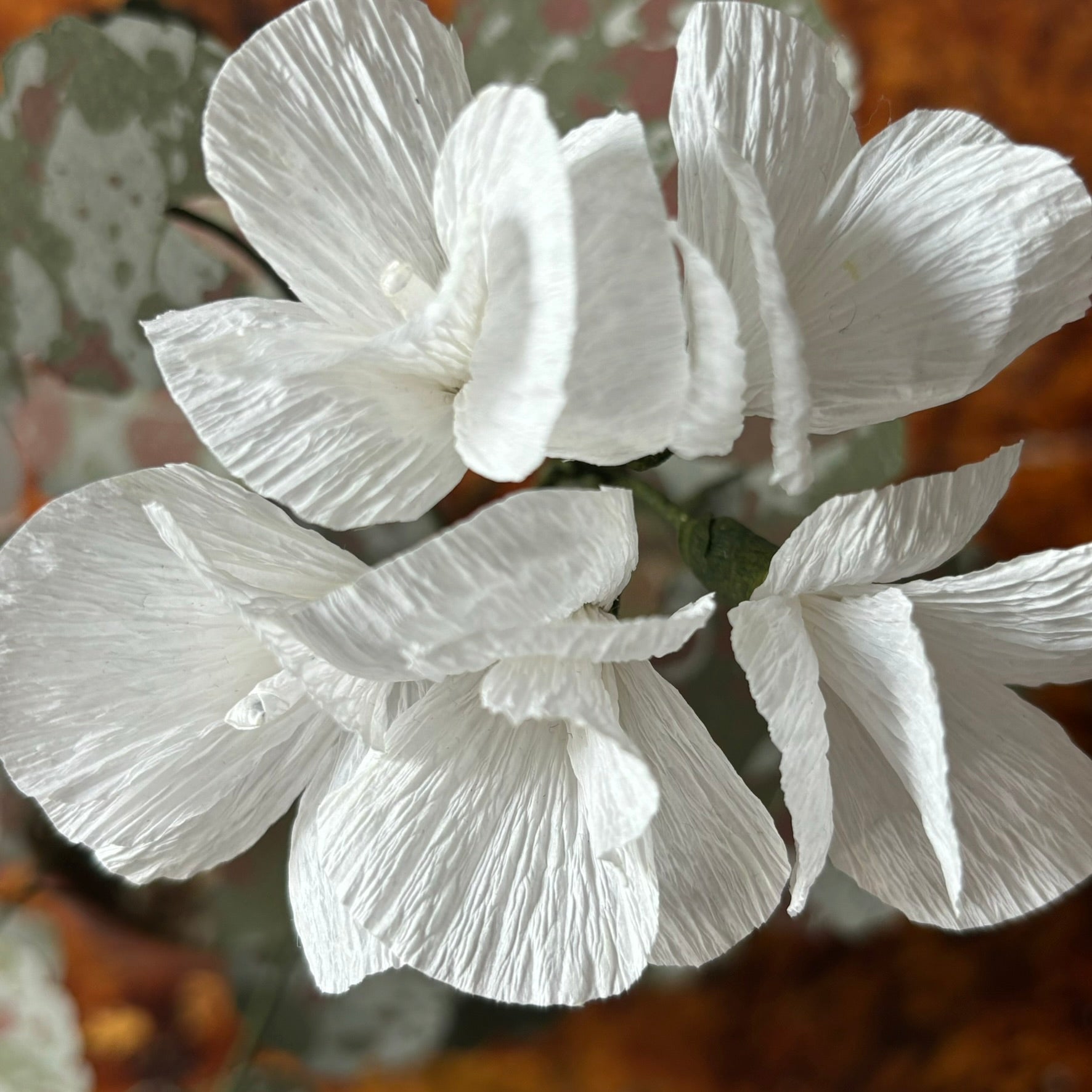 Paper Geranium