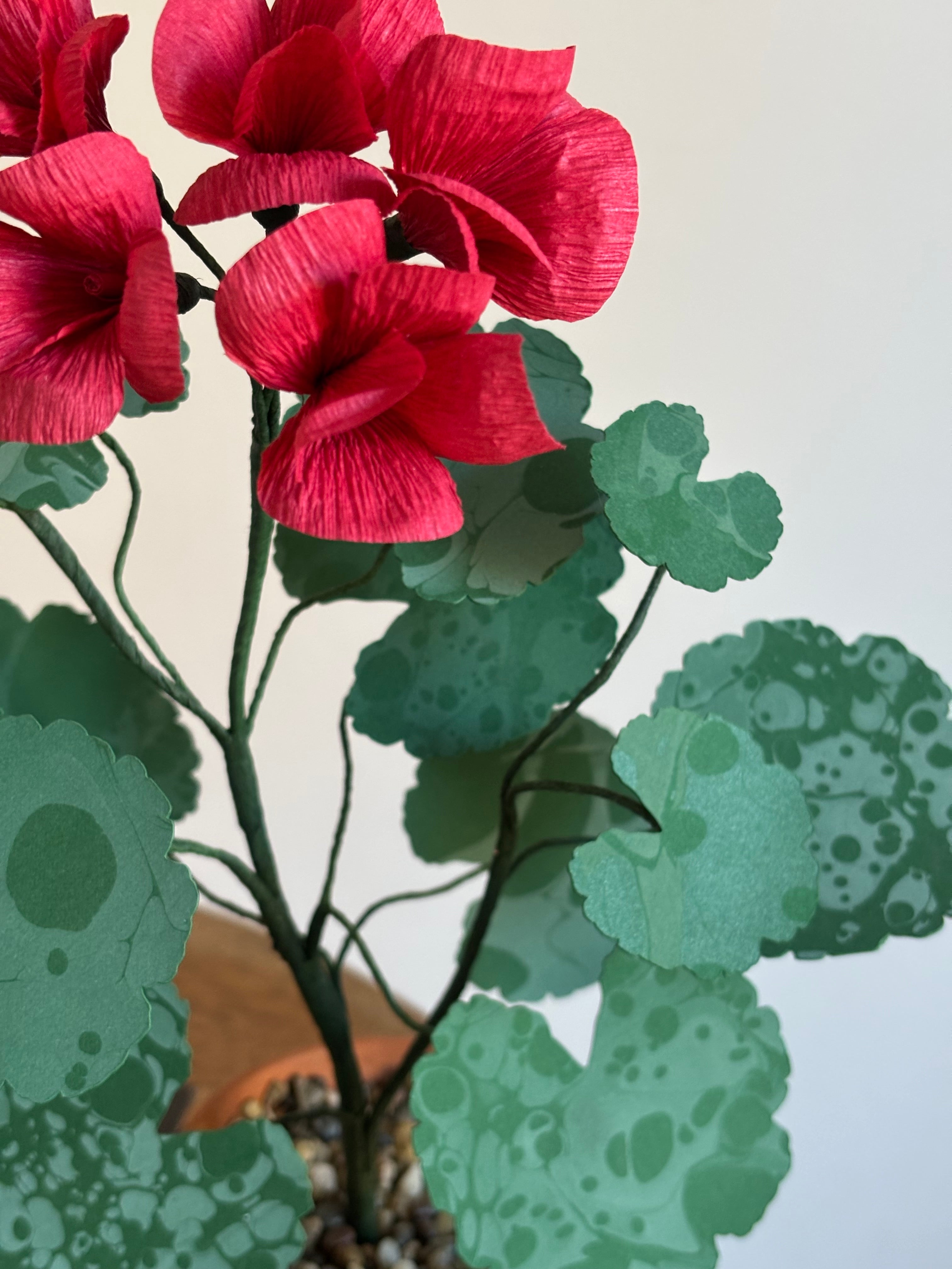 Paper Geranium pair