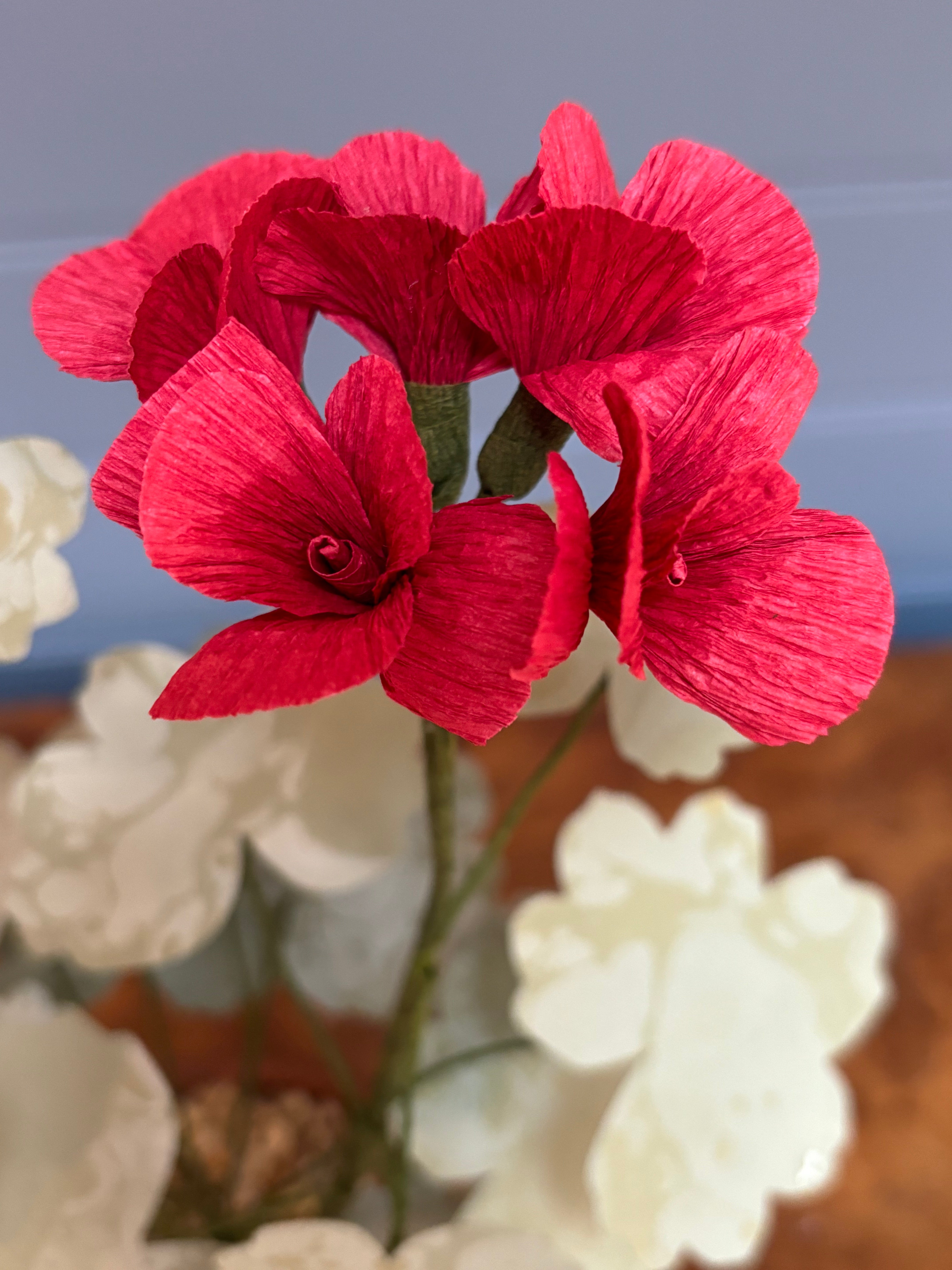Geranium
