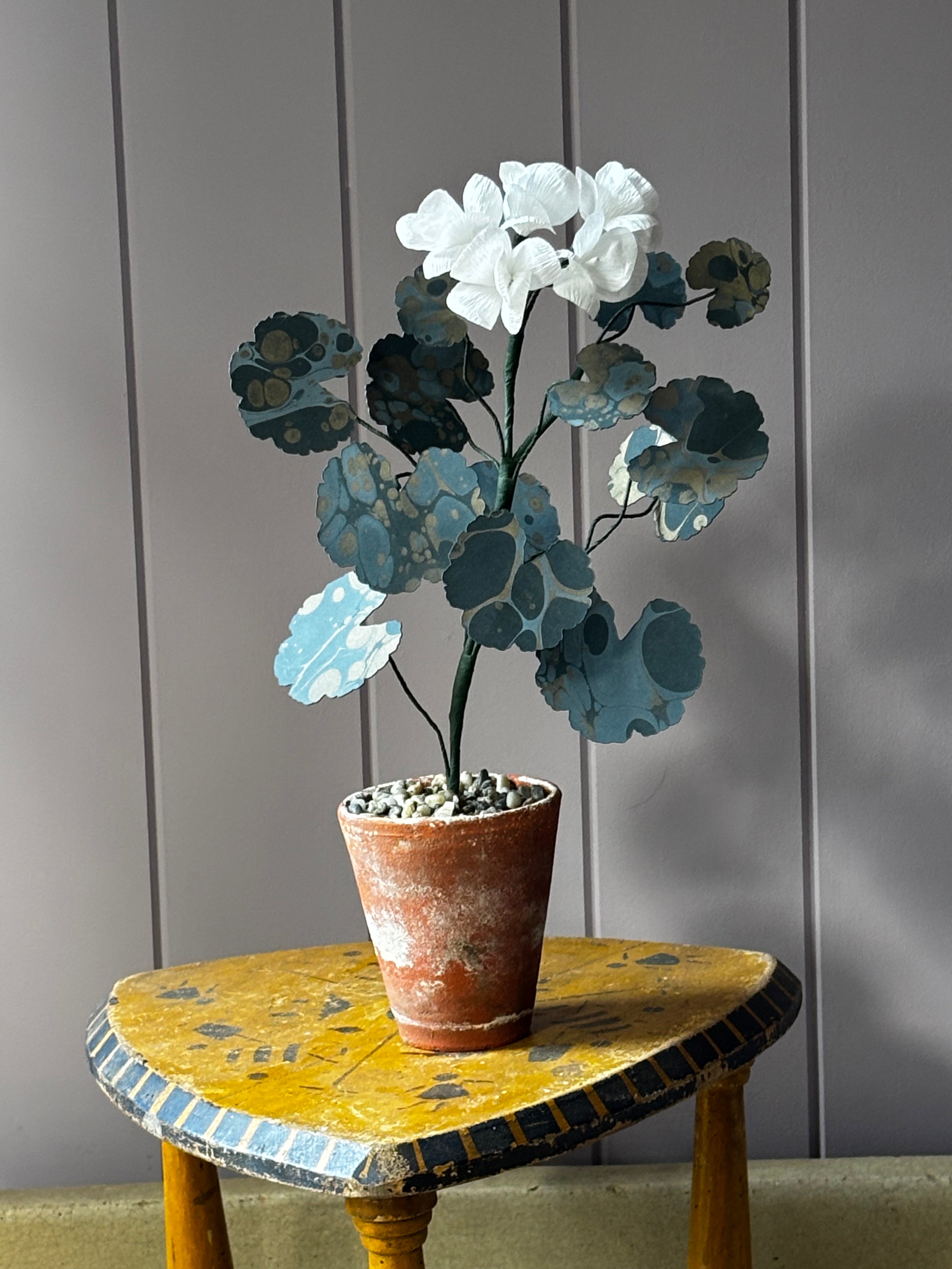 Paper geranium