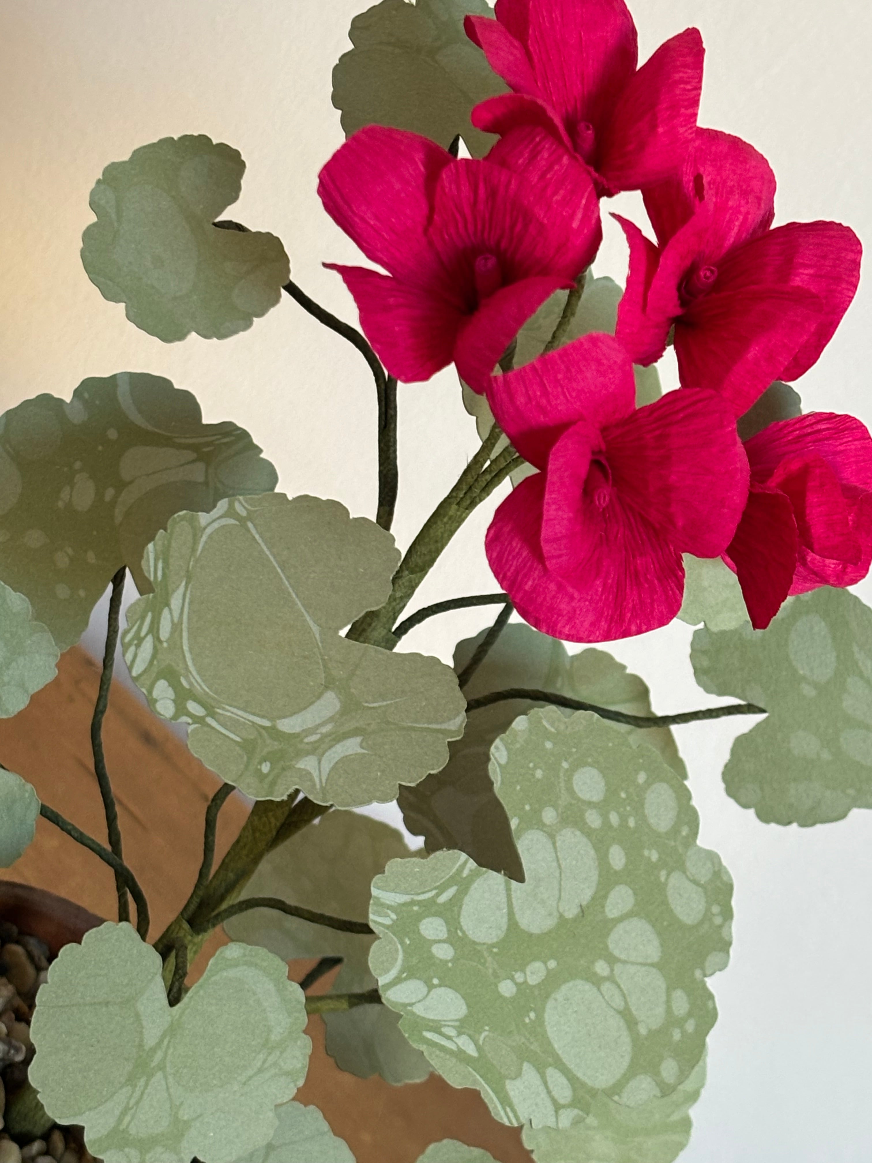 Paper Geranium