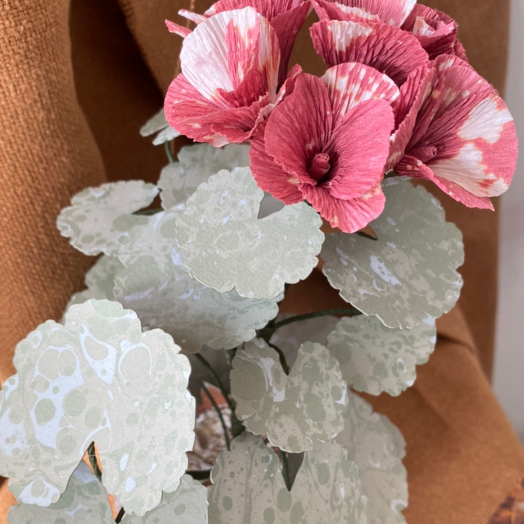 Paper Geranium