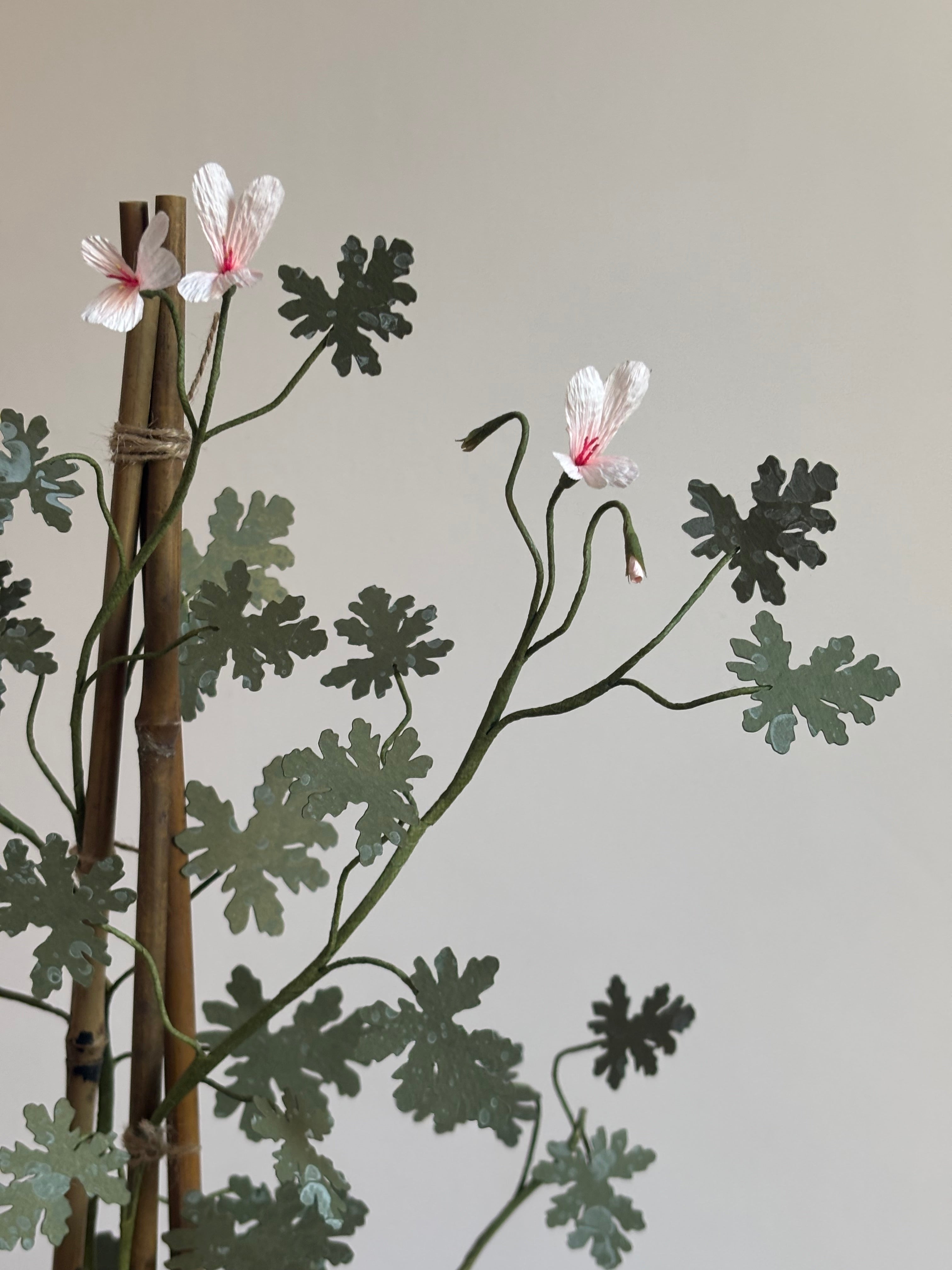 Paper Pelargonium, inspired by Pelargonium radens