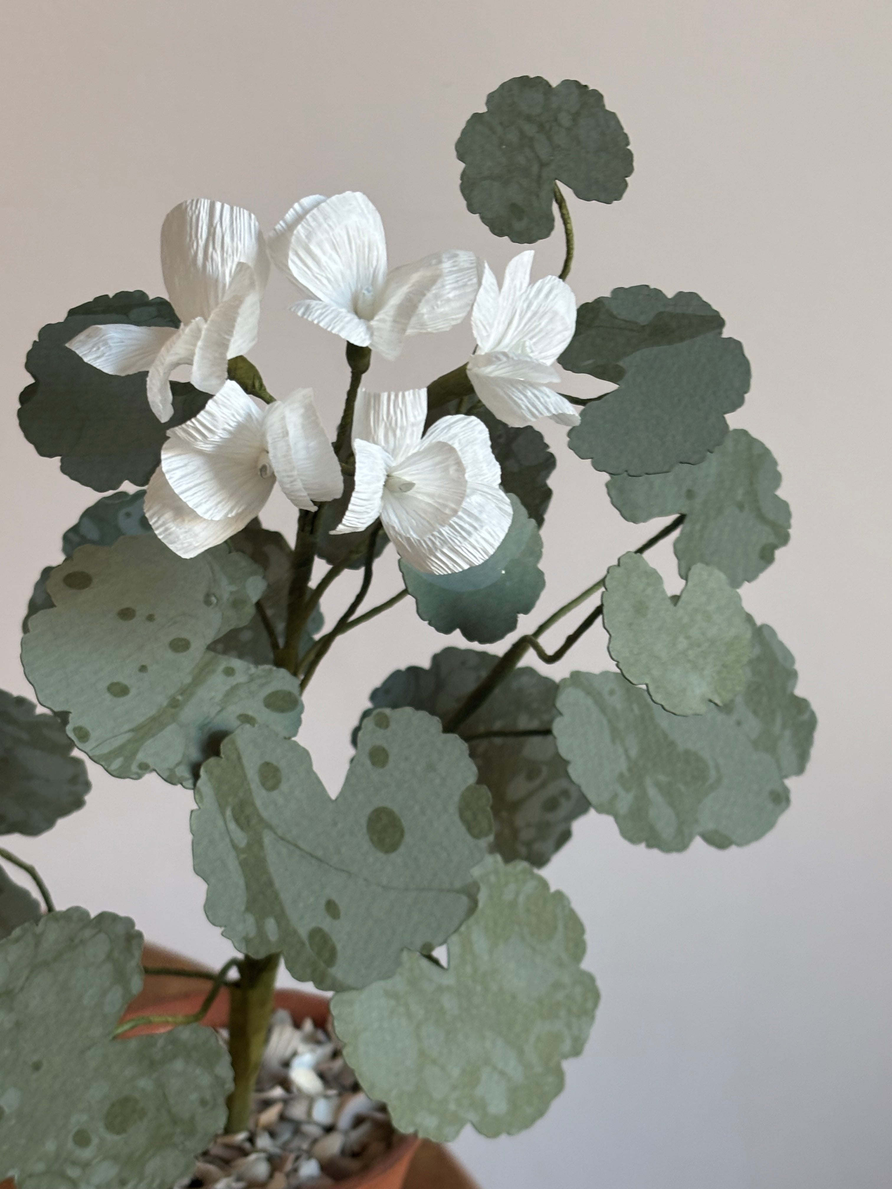 Paper Geranium