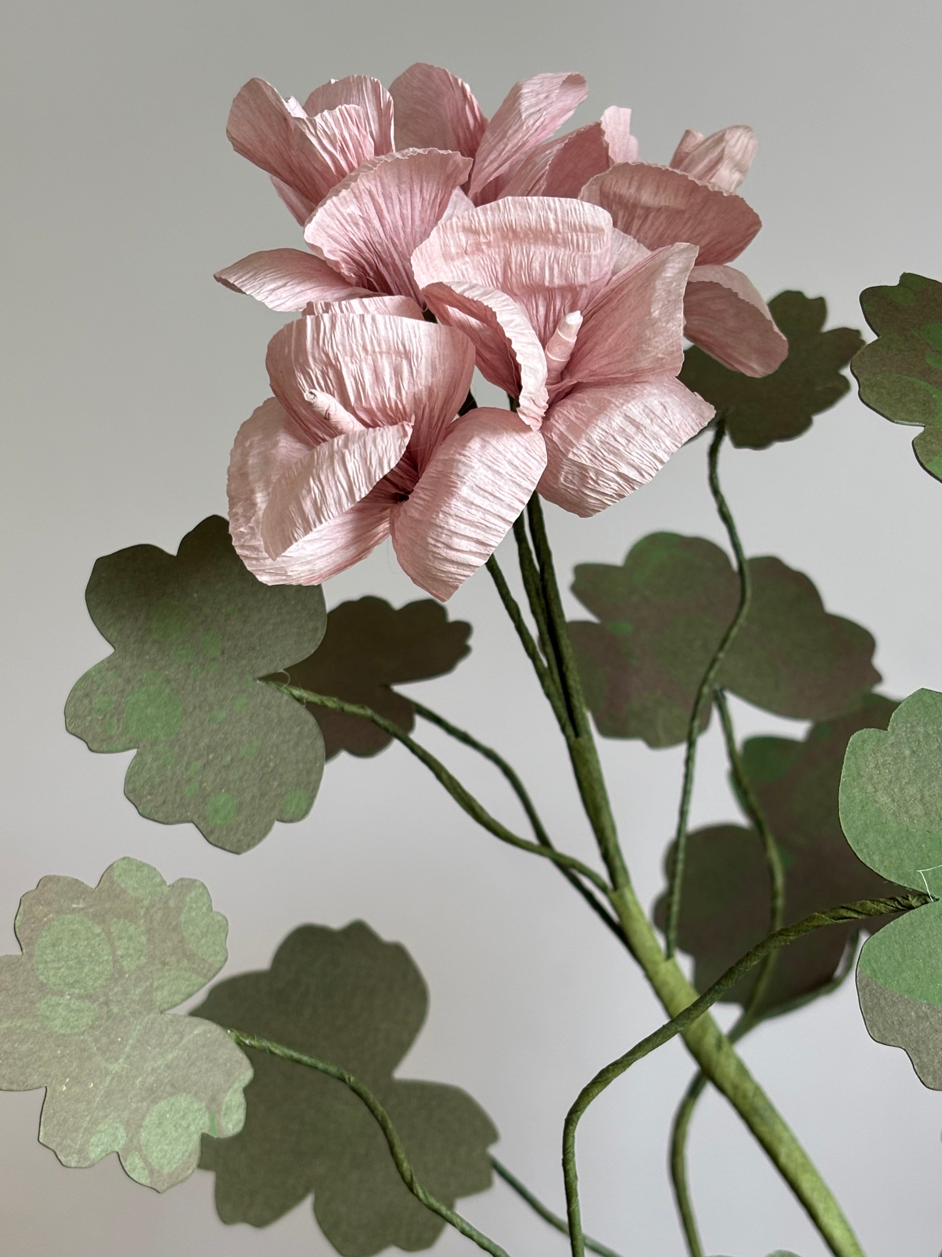 Paper Geranium