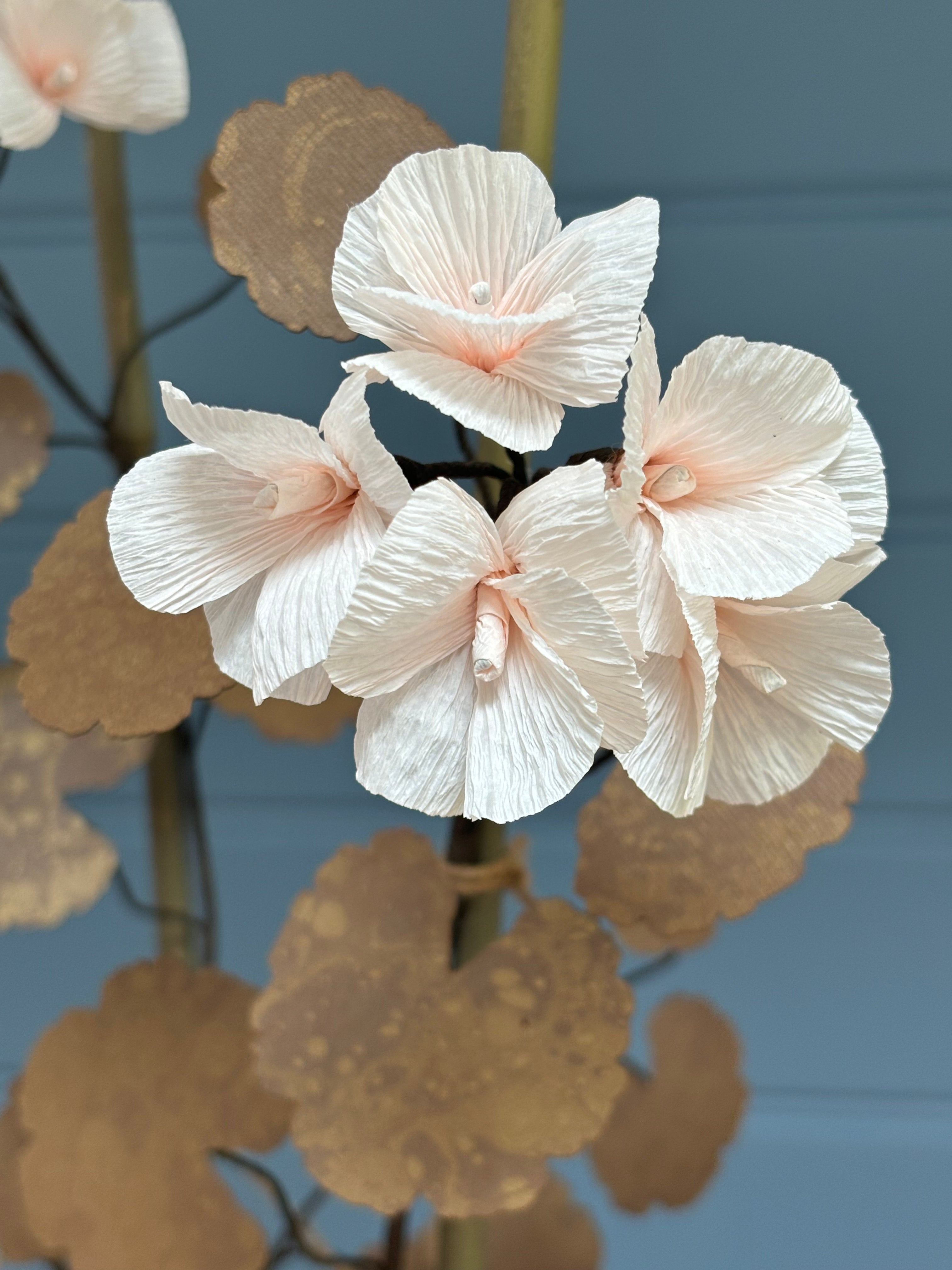 Geranium