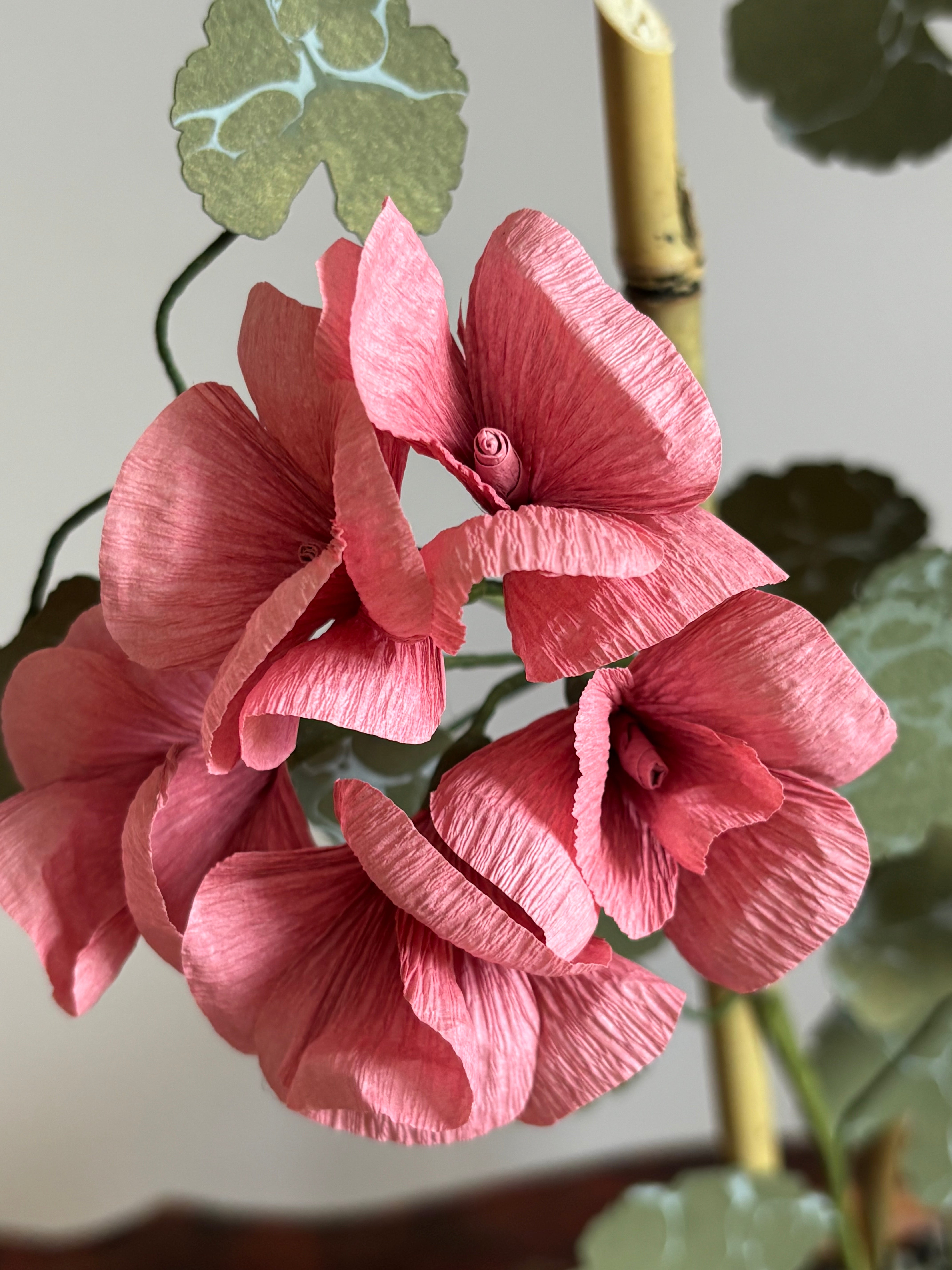 Paper Geranium