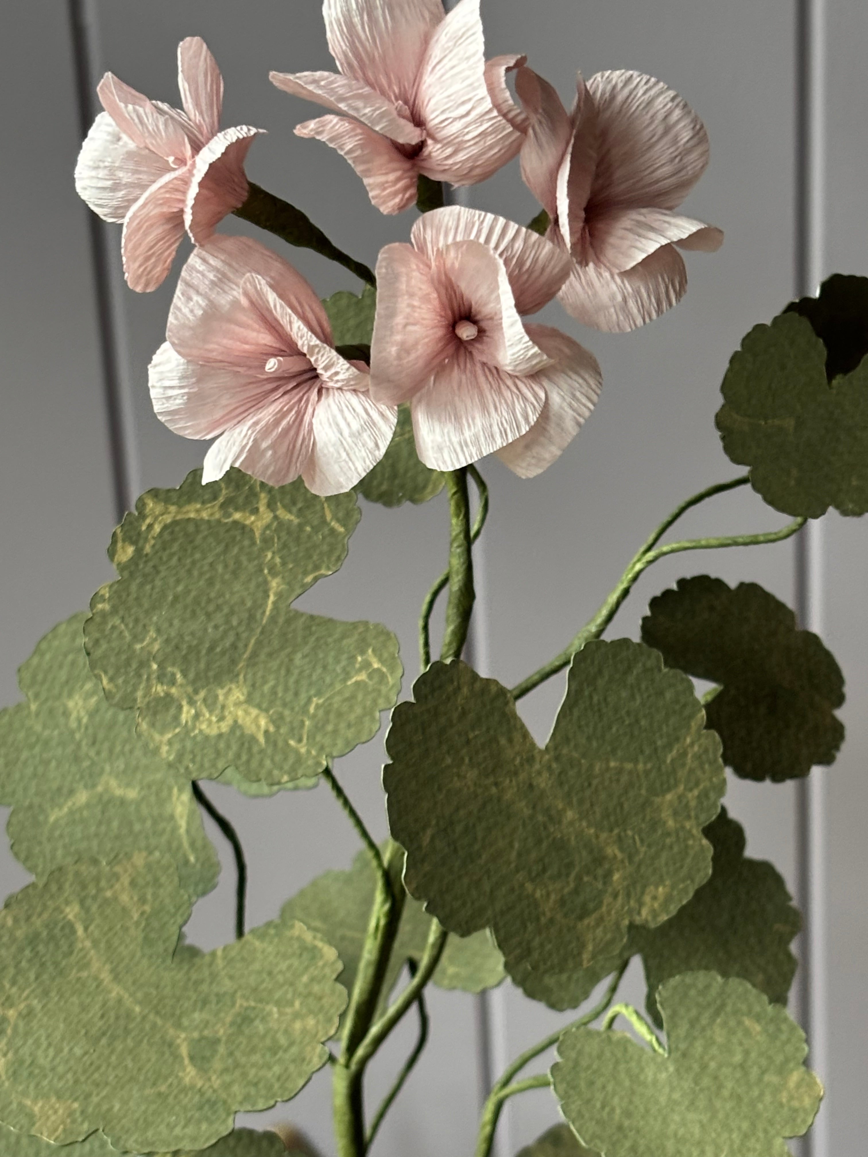 Paper Geranium