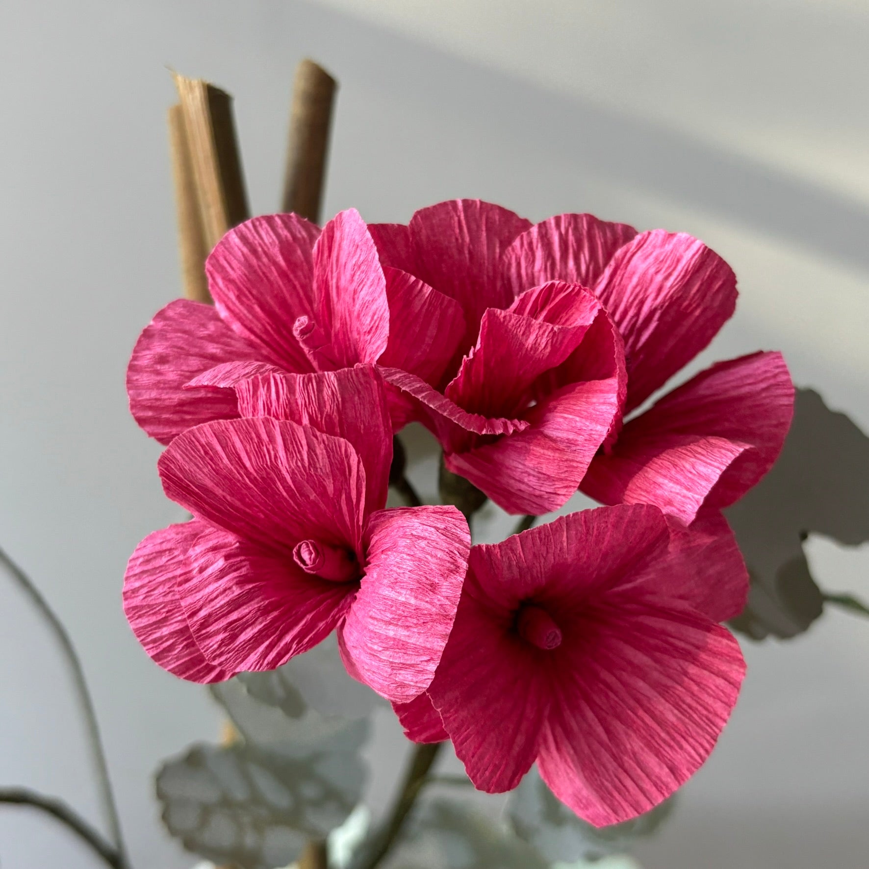 Paper Geranium