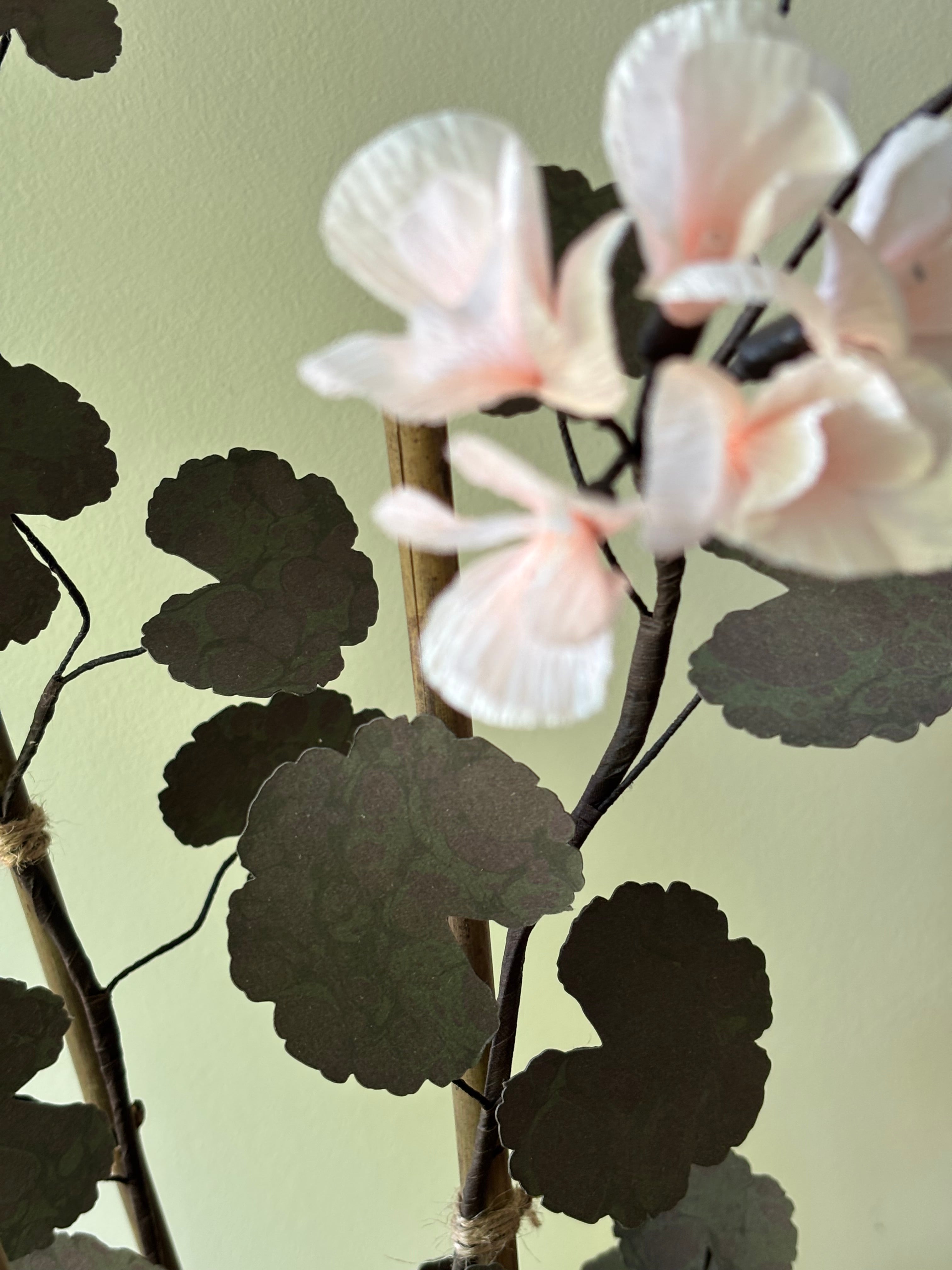 Paper Geranium