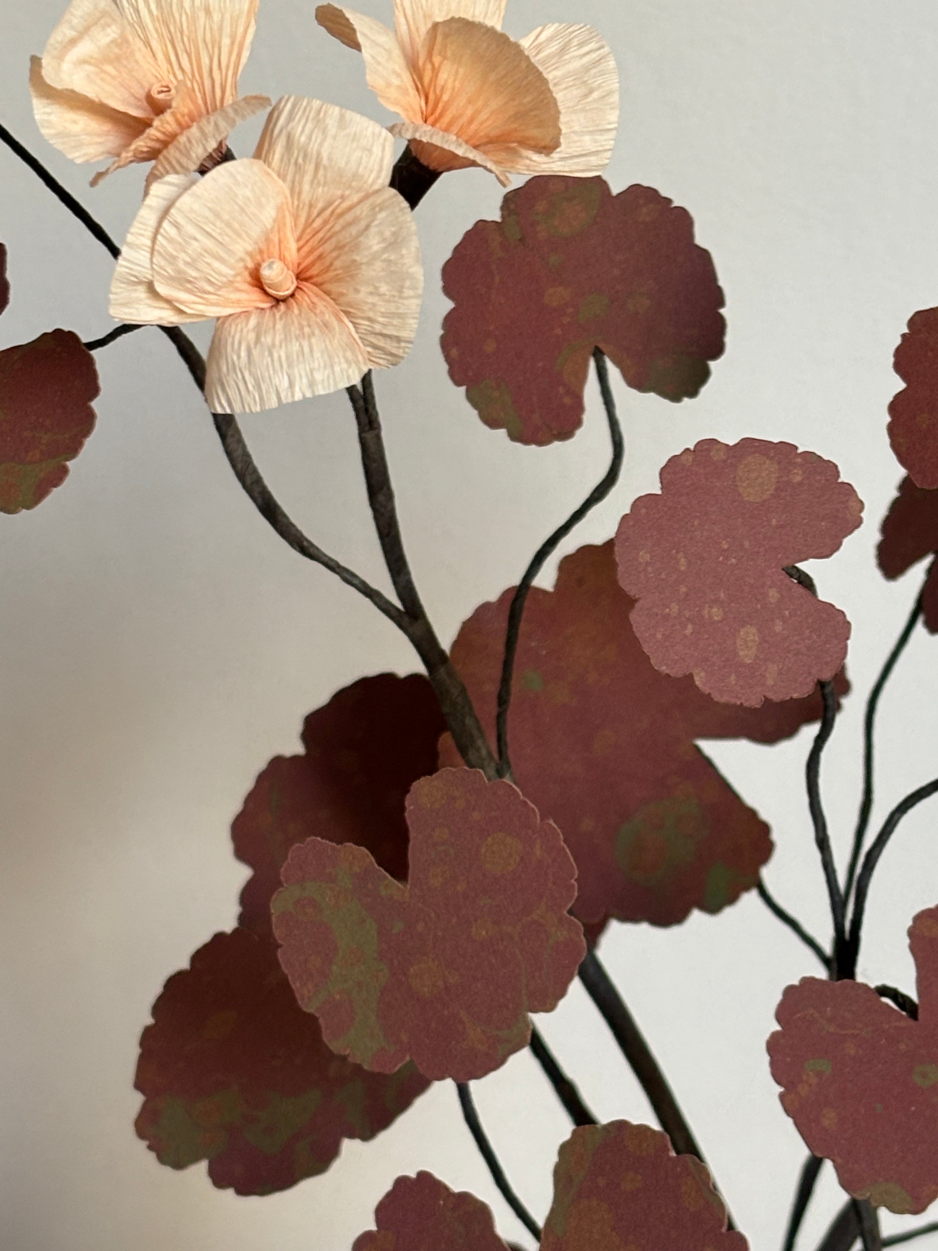 Paper Geranium