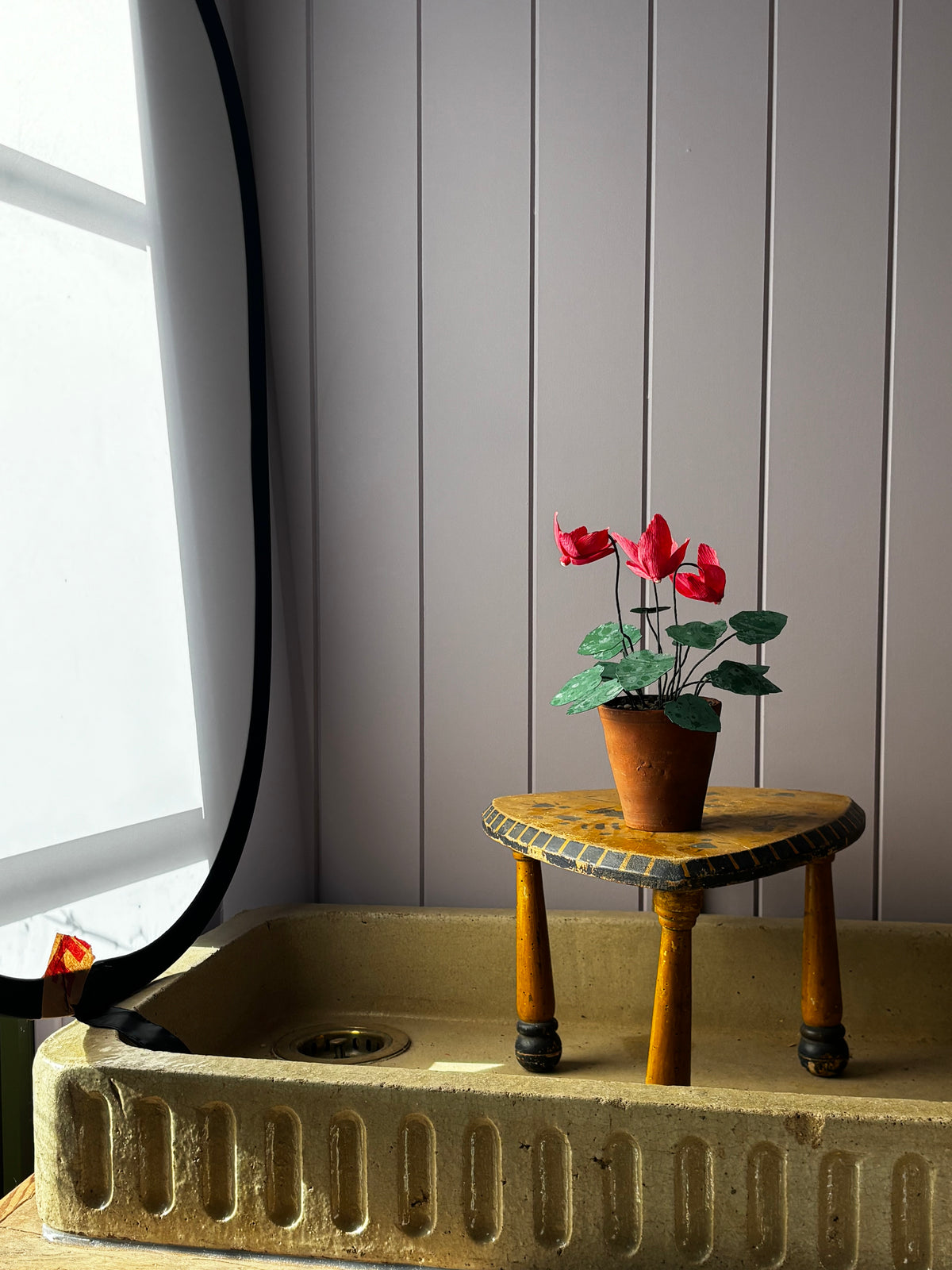 Cyclamen
