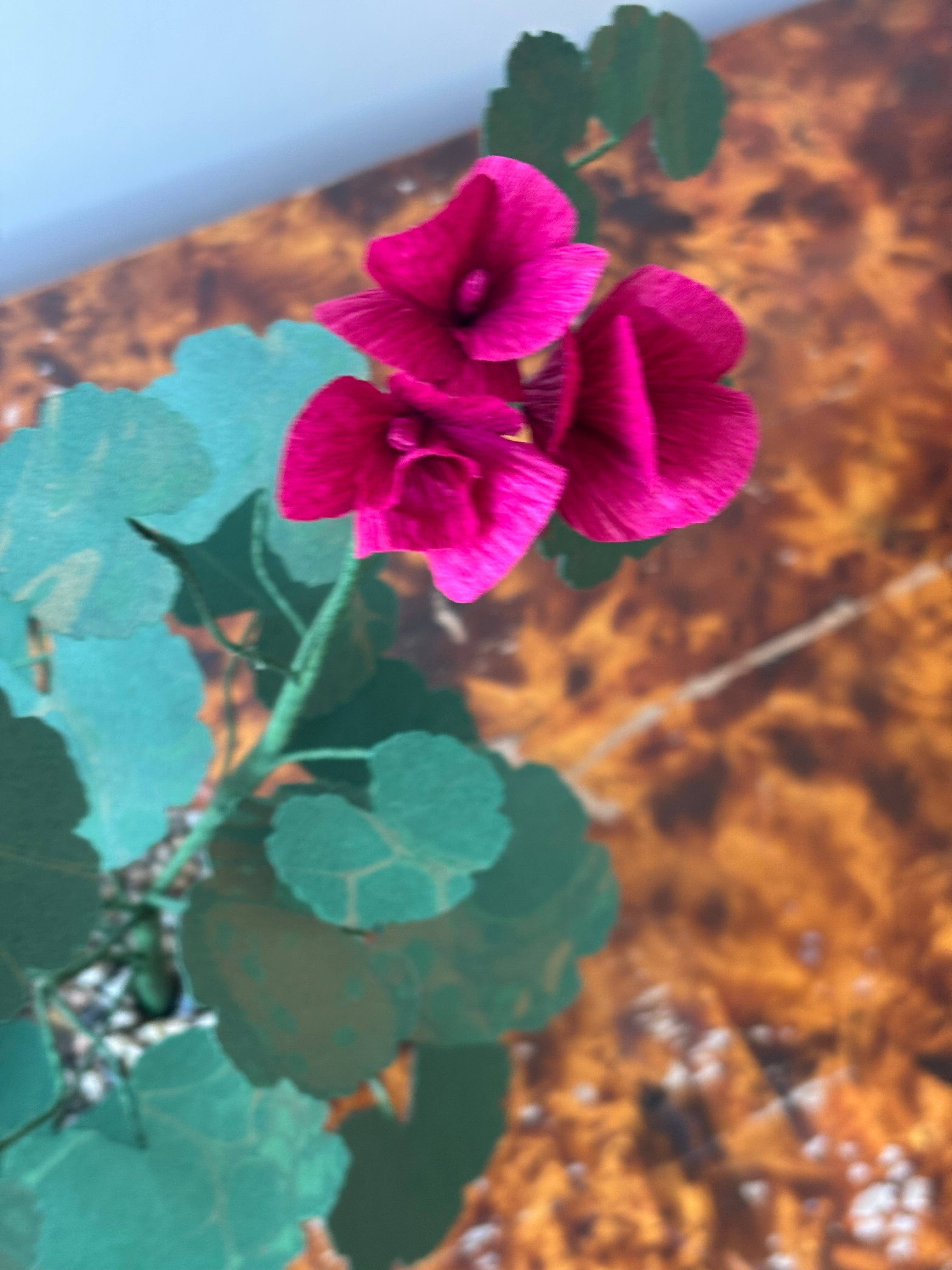 Paper Geranium