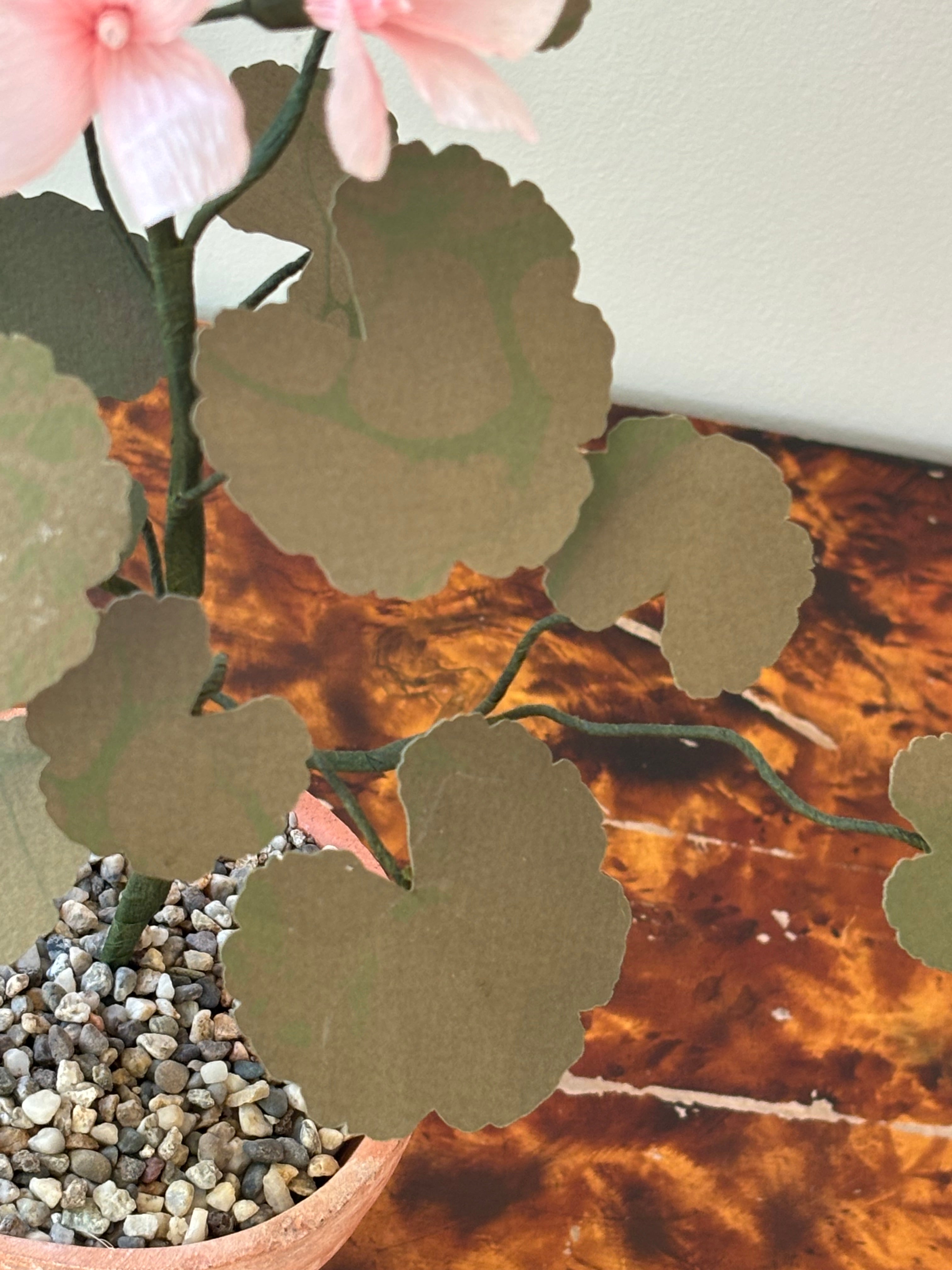 Paper Geranium SECOND