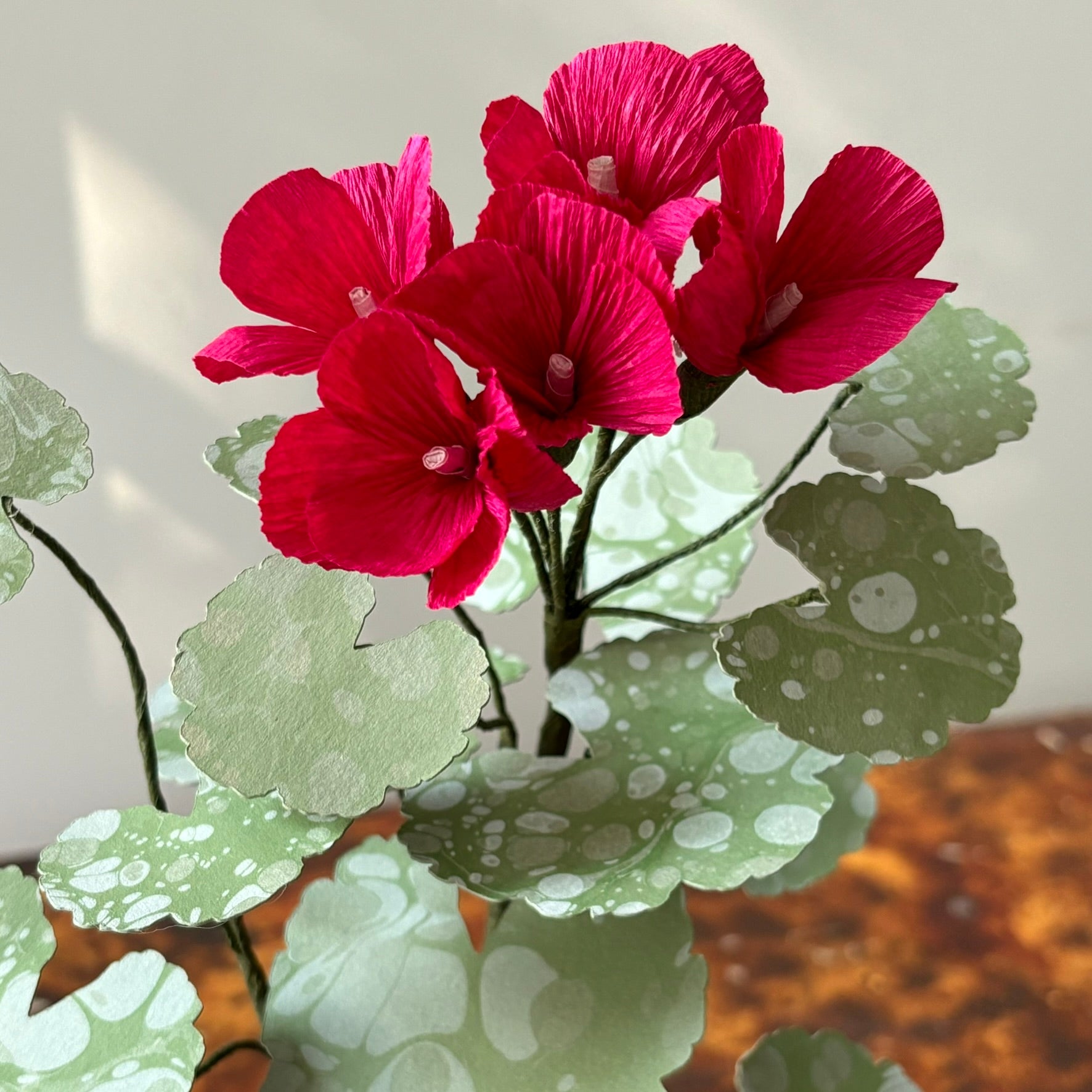 Paper Geranium