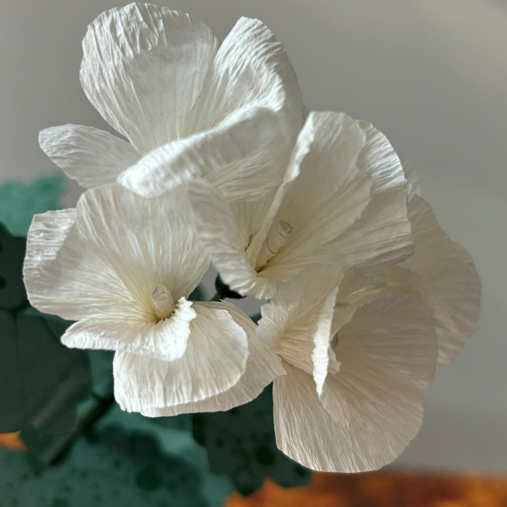 Paper Geranium