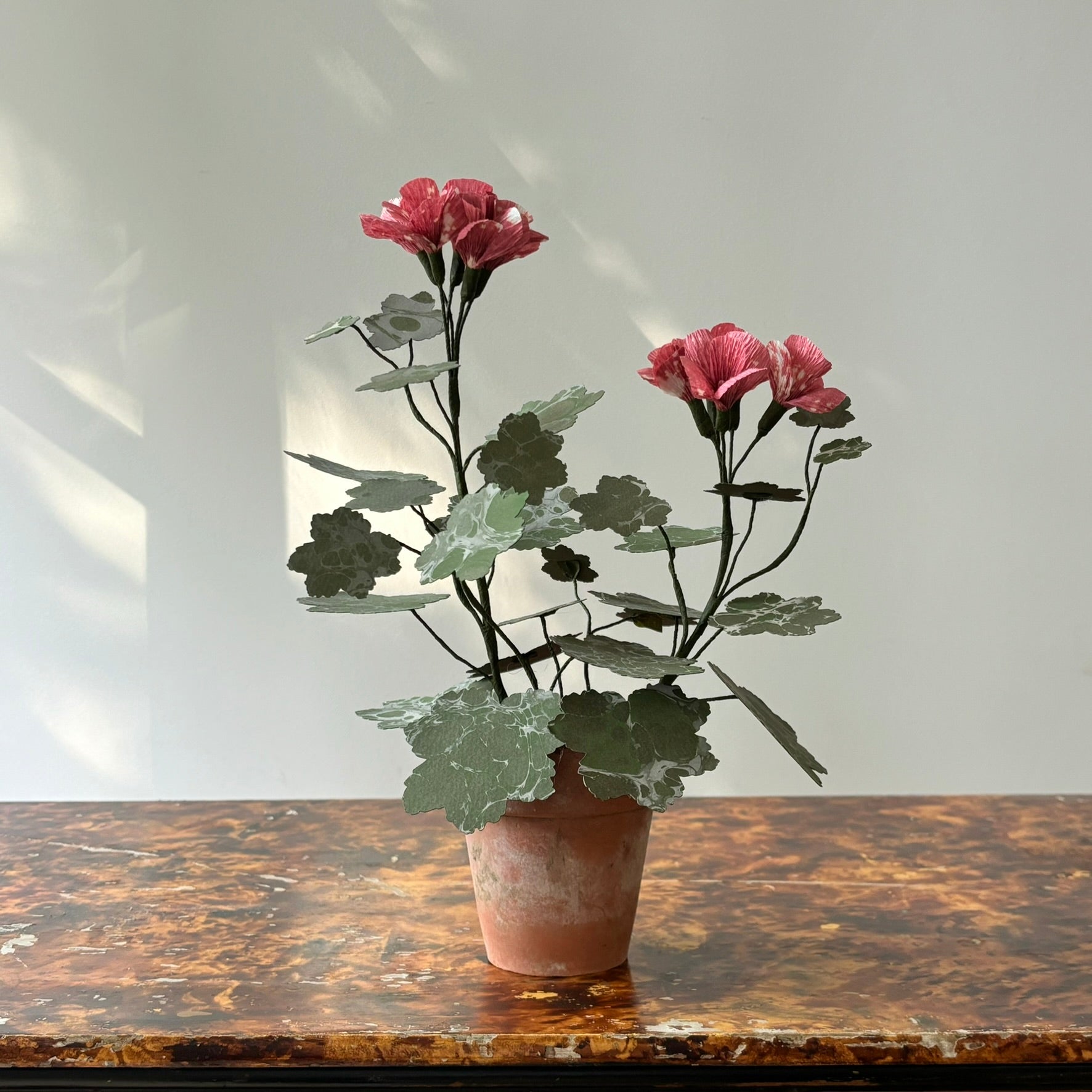 Paper Geranium