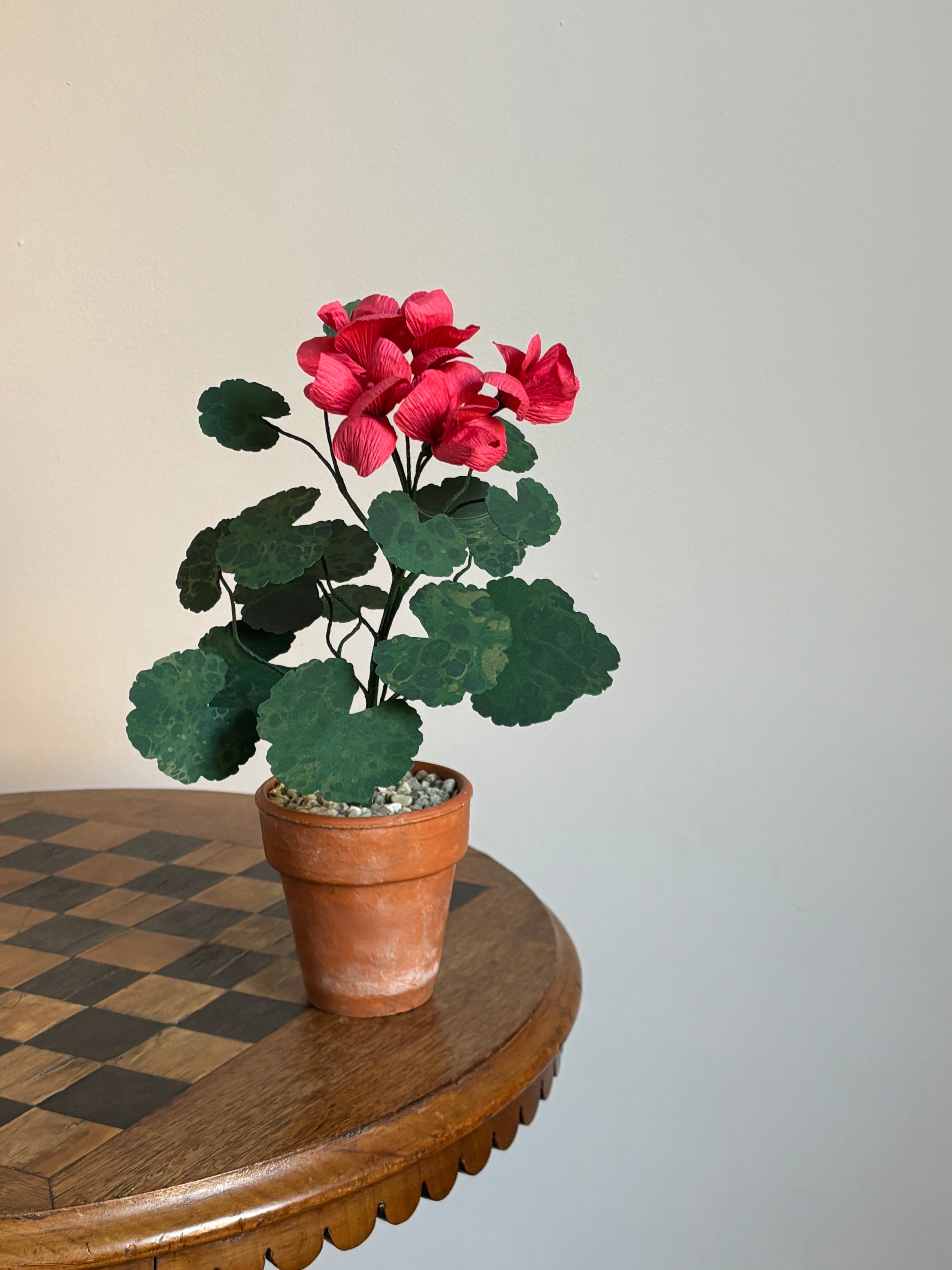 Paper Geranium
