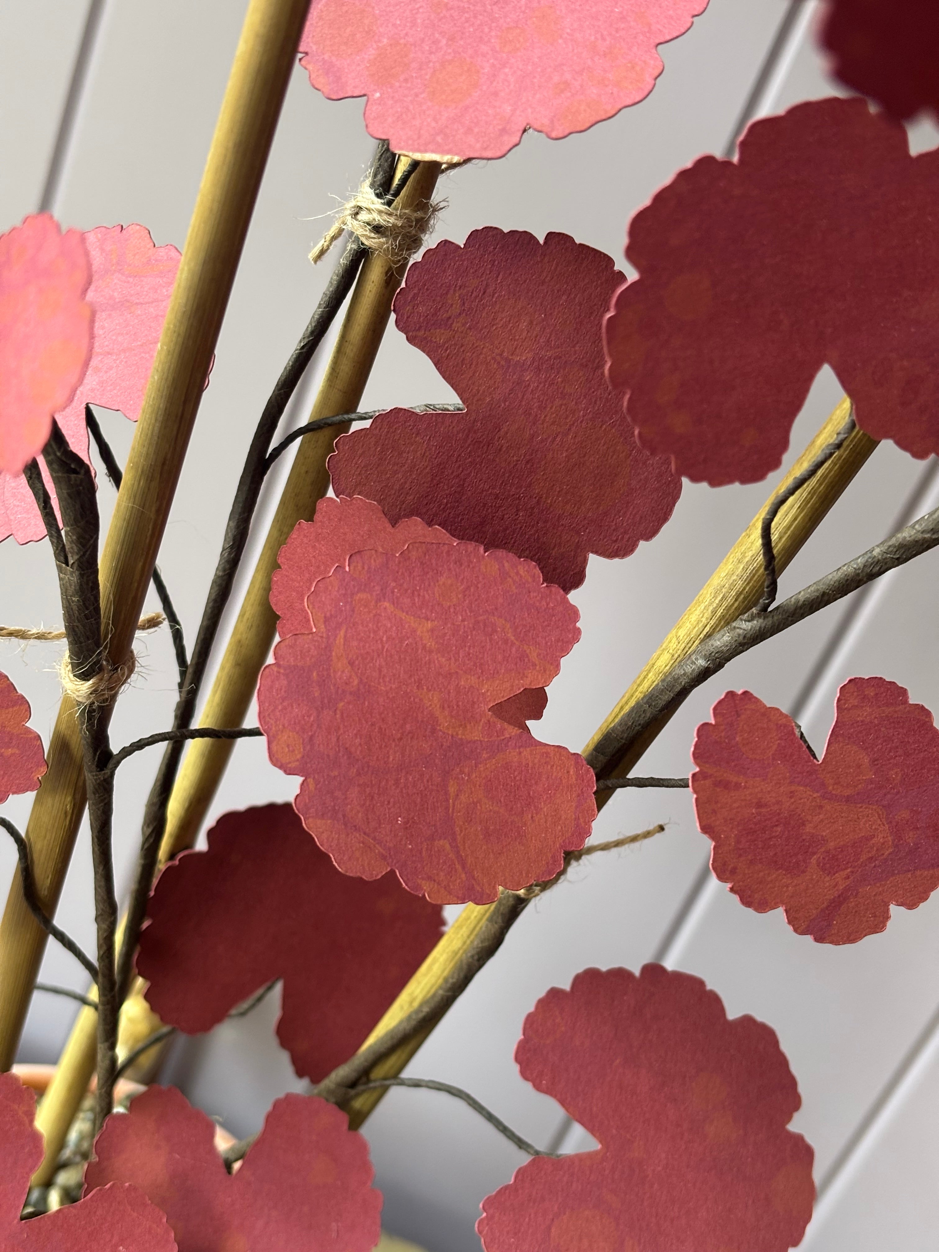 Paper geranium
