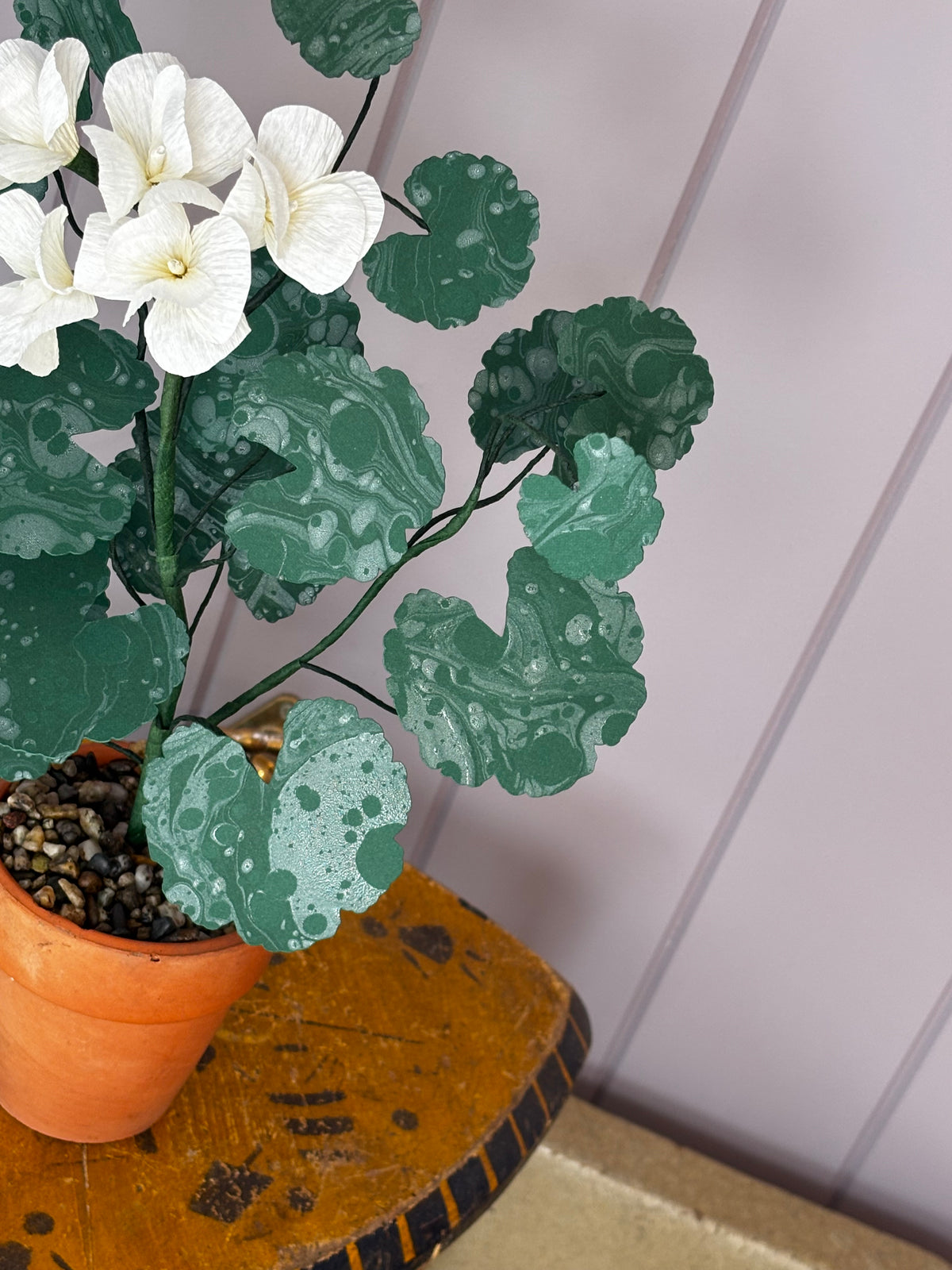 Paper geranium