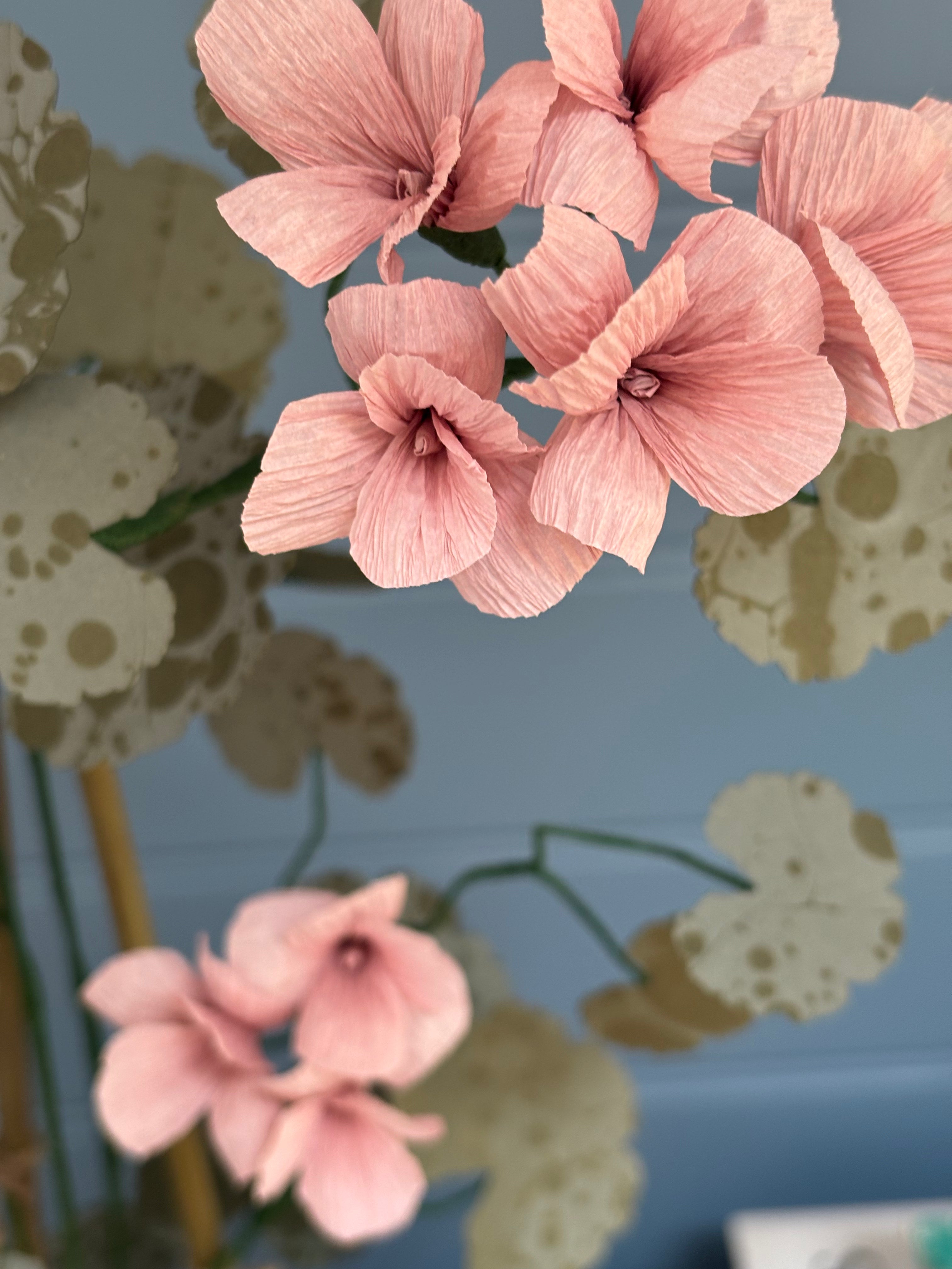 Geranium