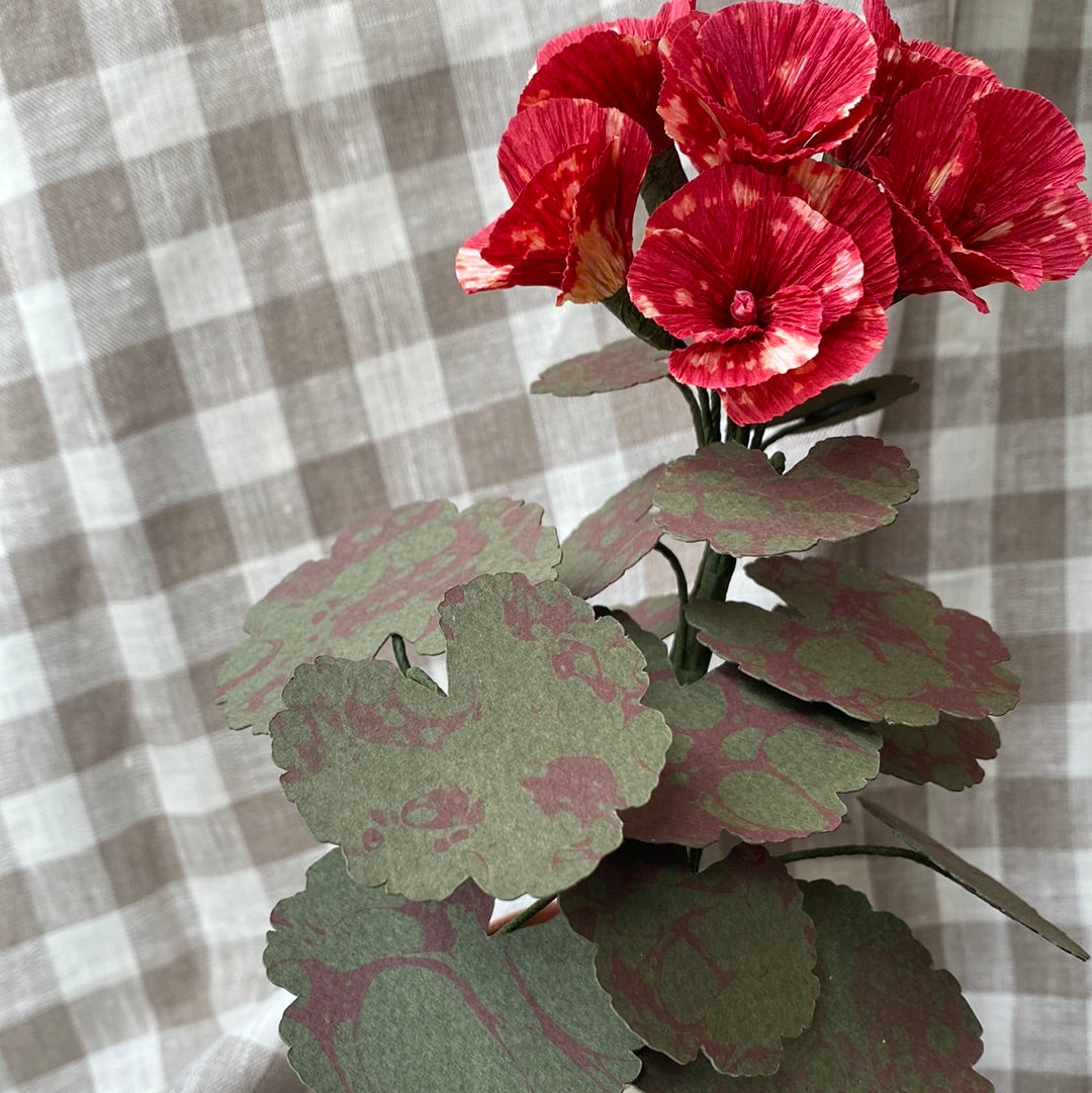 Paper Geranium