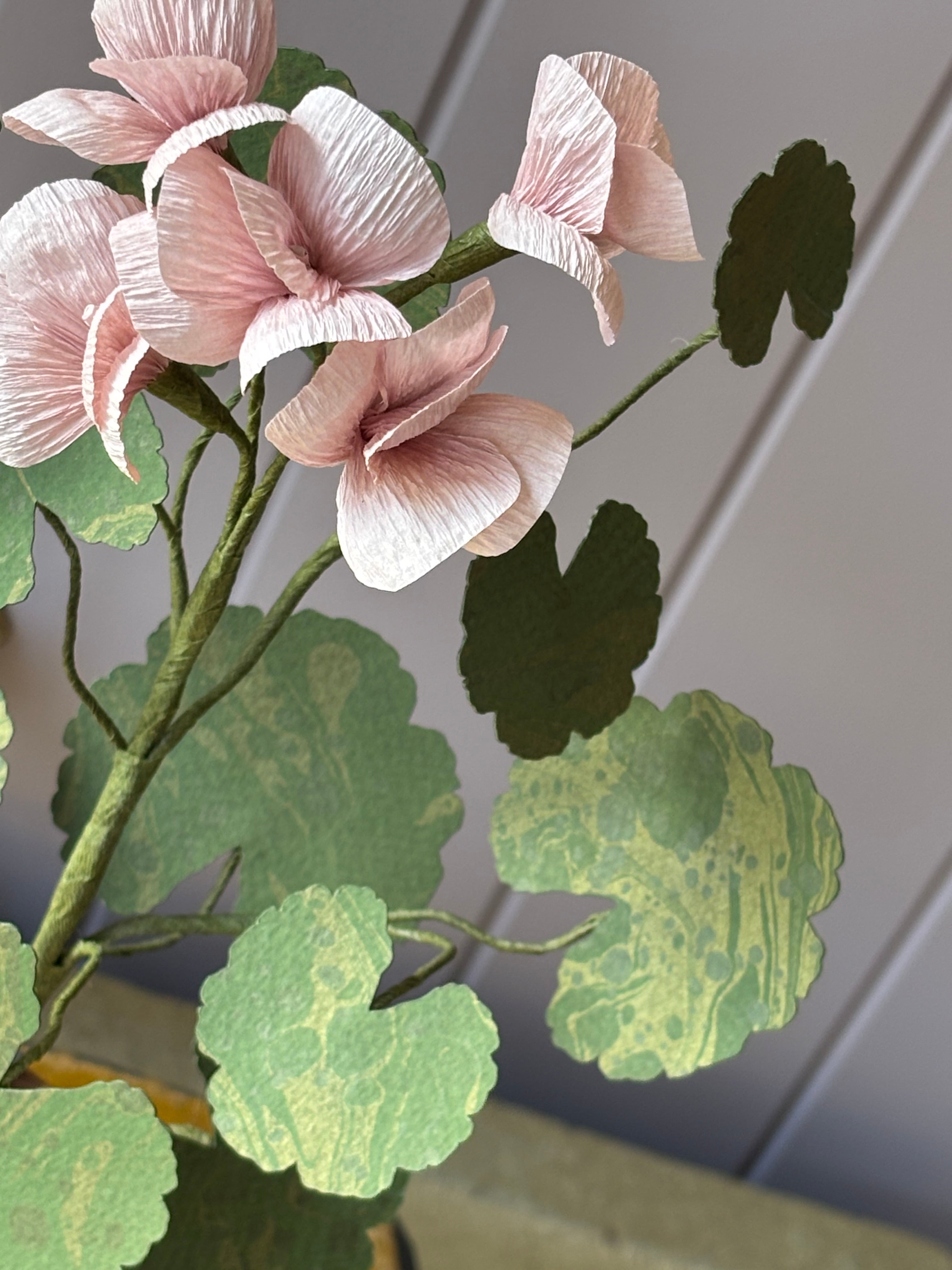 Paper Geranium