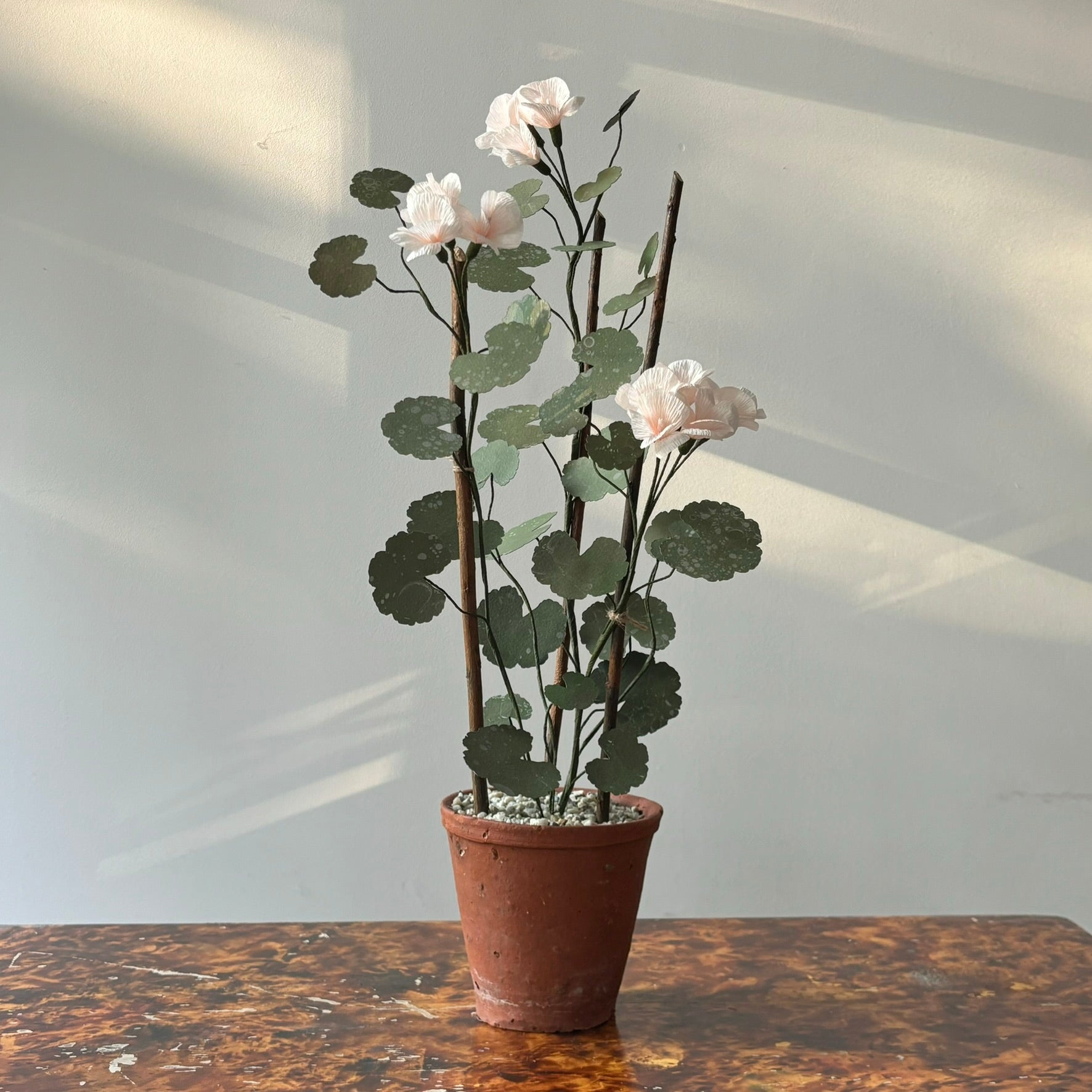 Paper Geranium