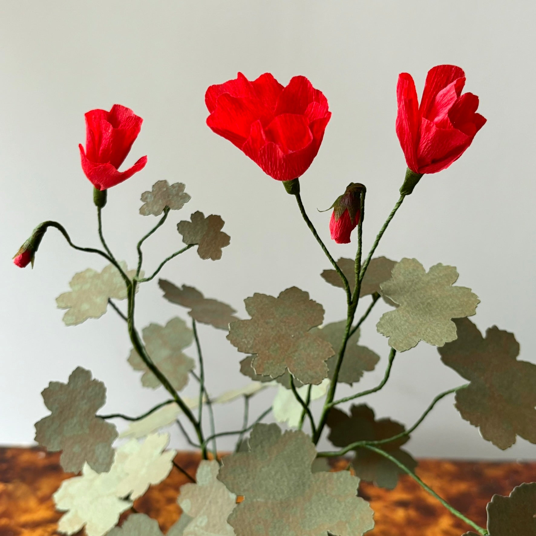 Paper Geranium