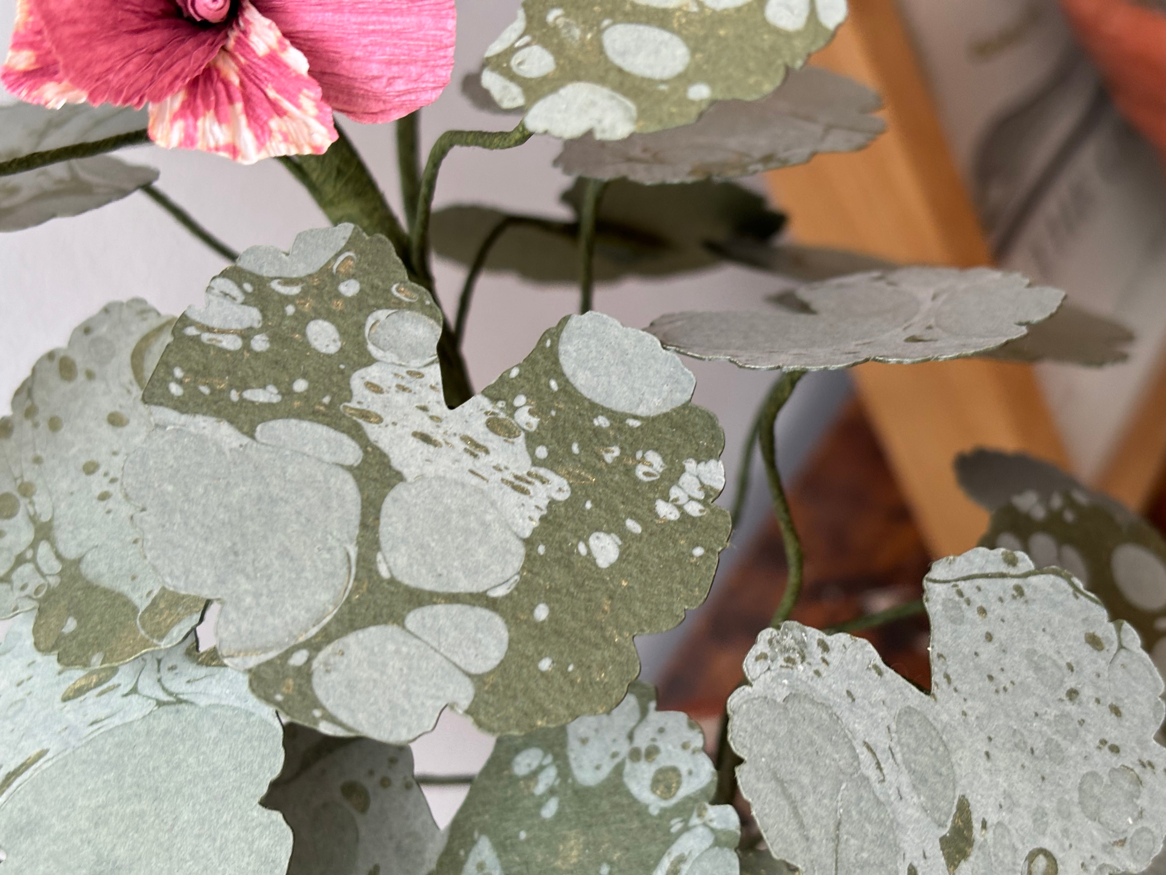 Paper Geranium