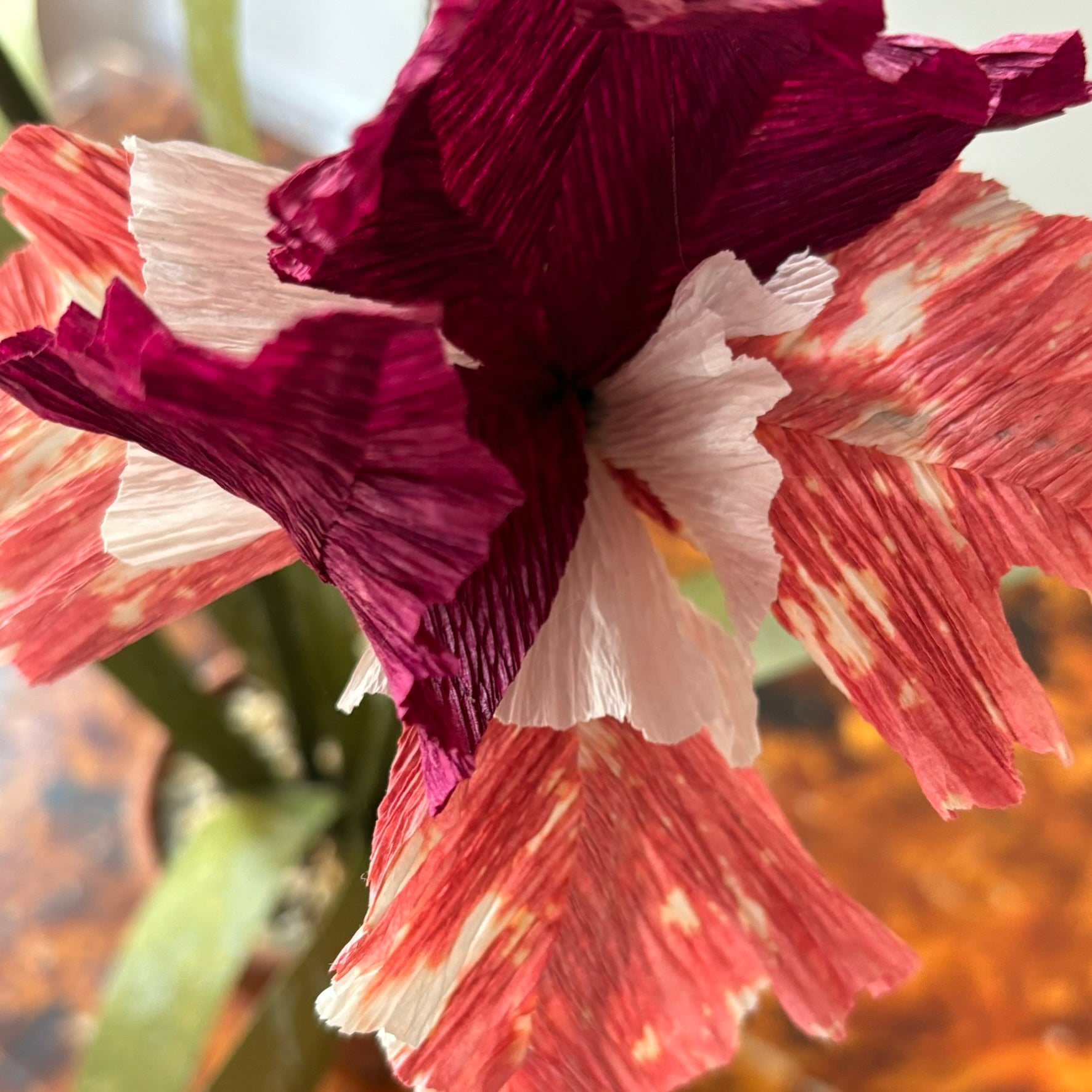 Paper Iris
