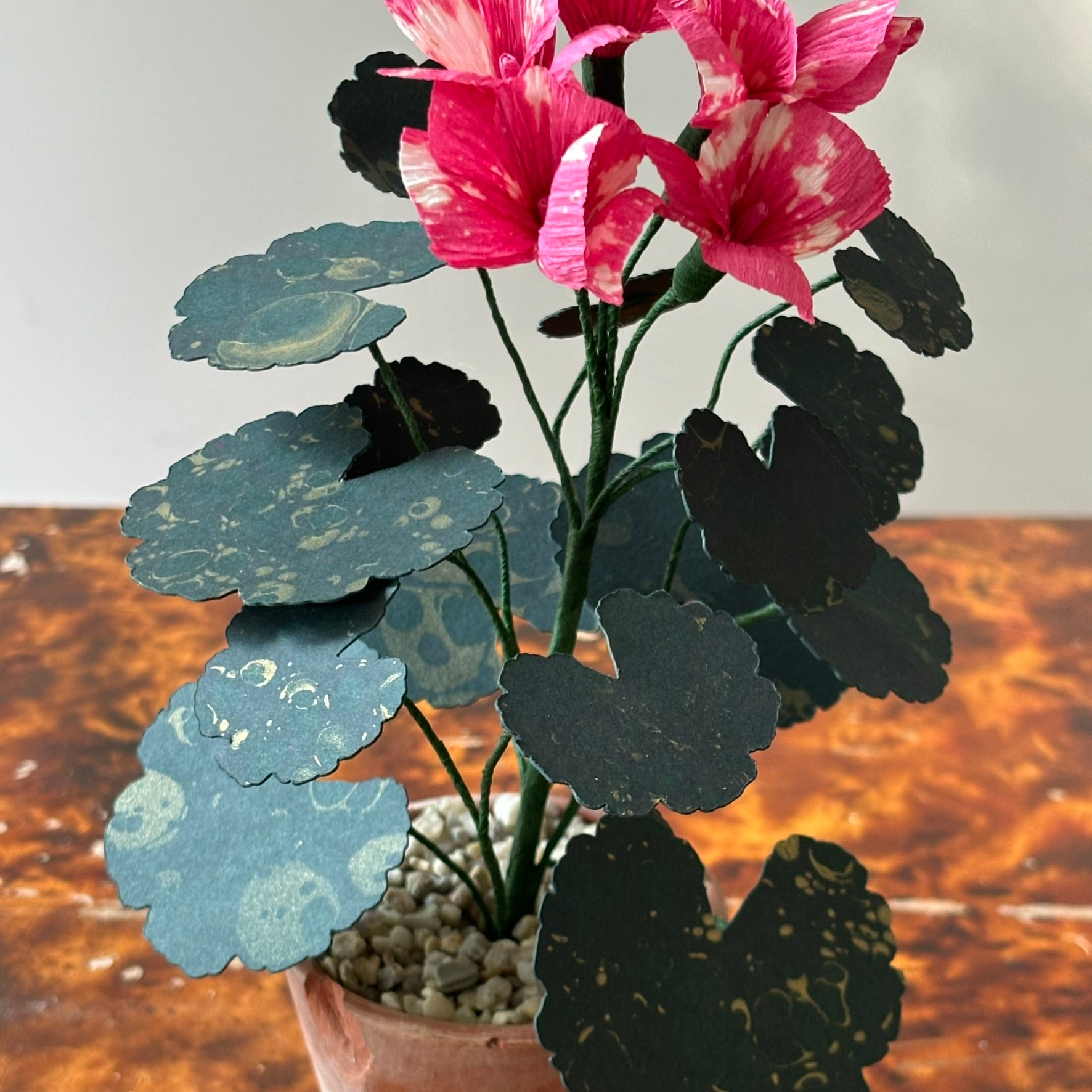 Paper Geranium