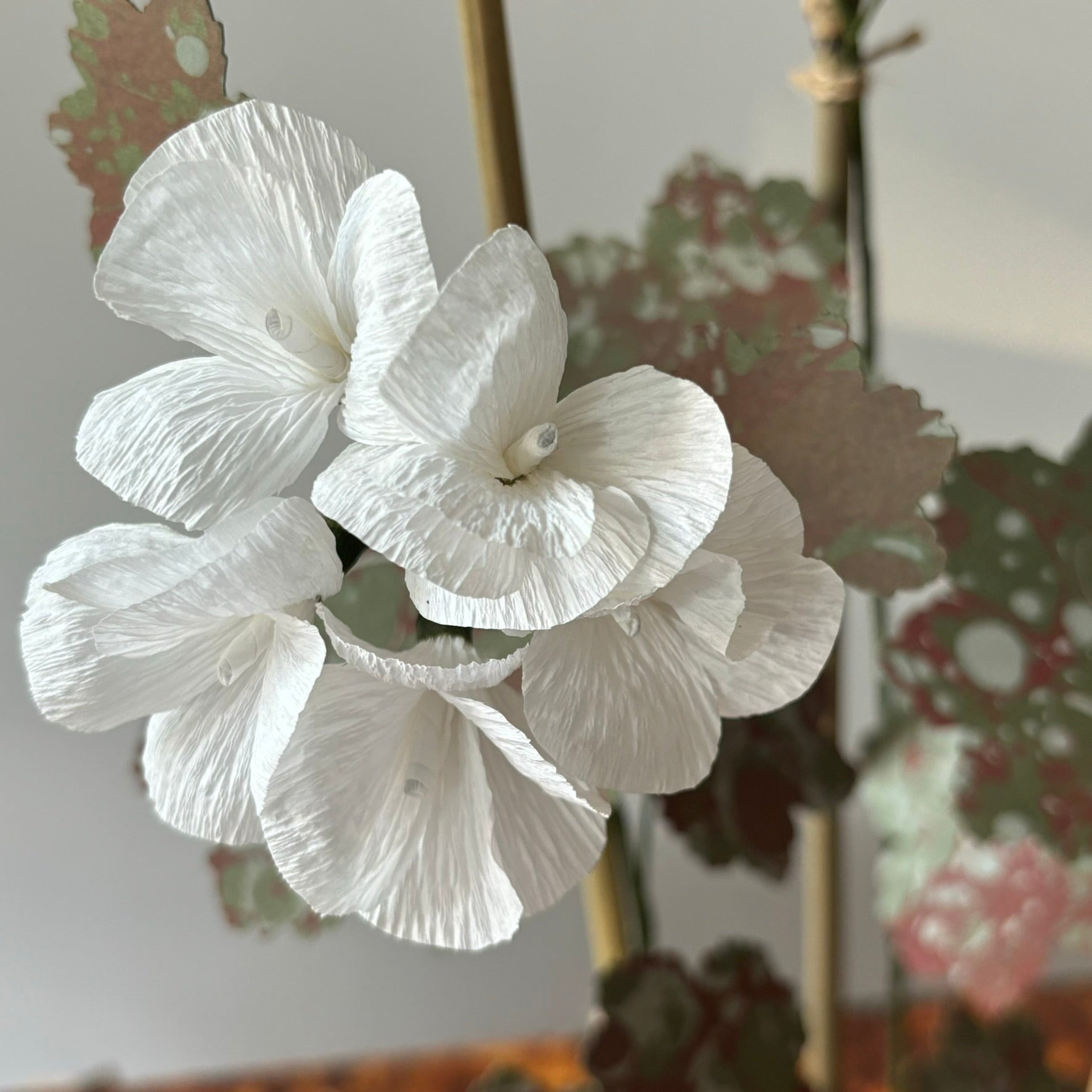 Paper Geranium