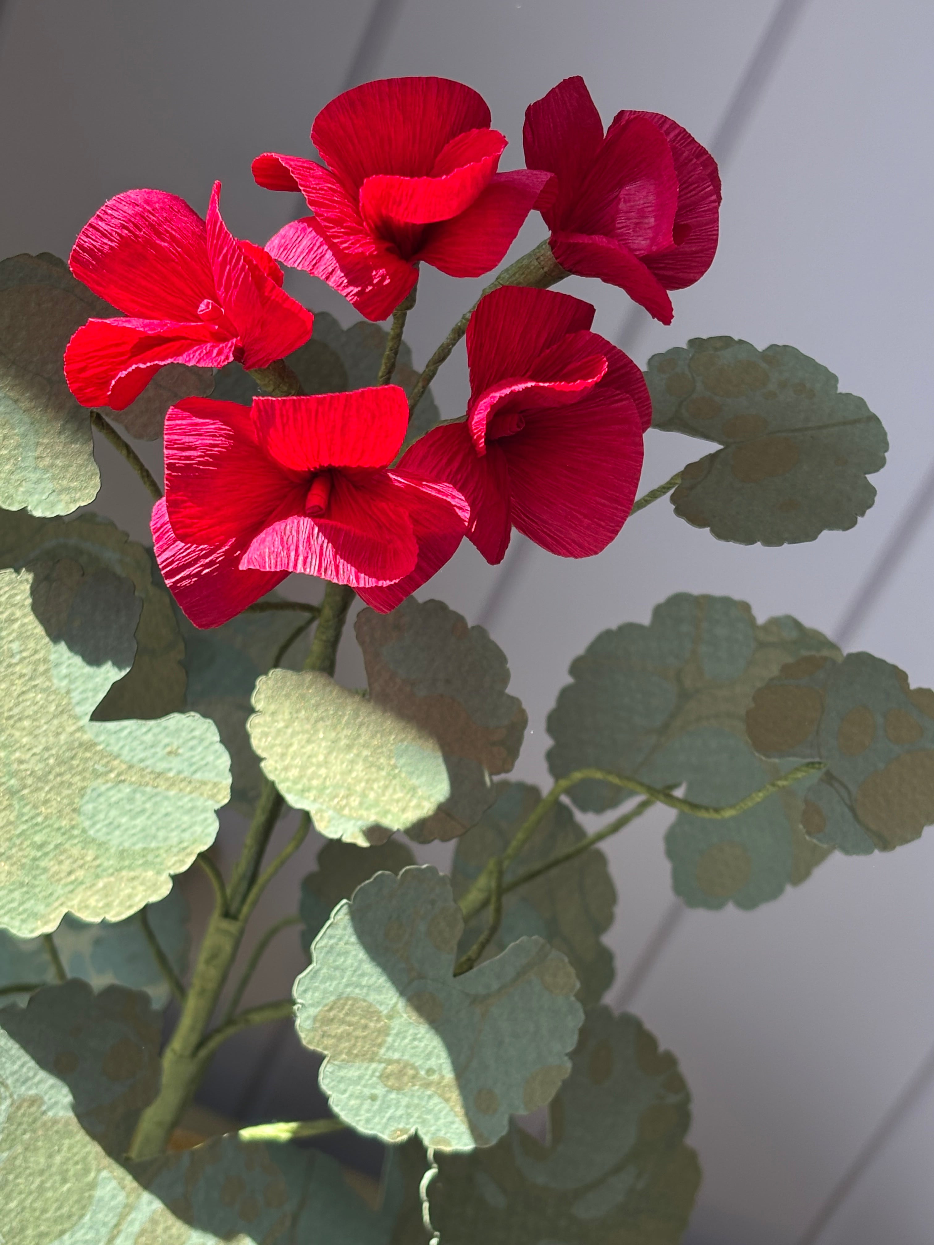 Paper Geranium