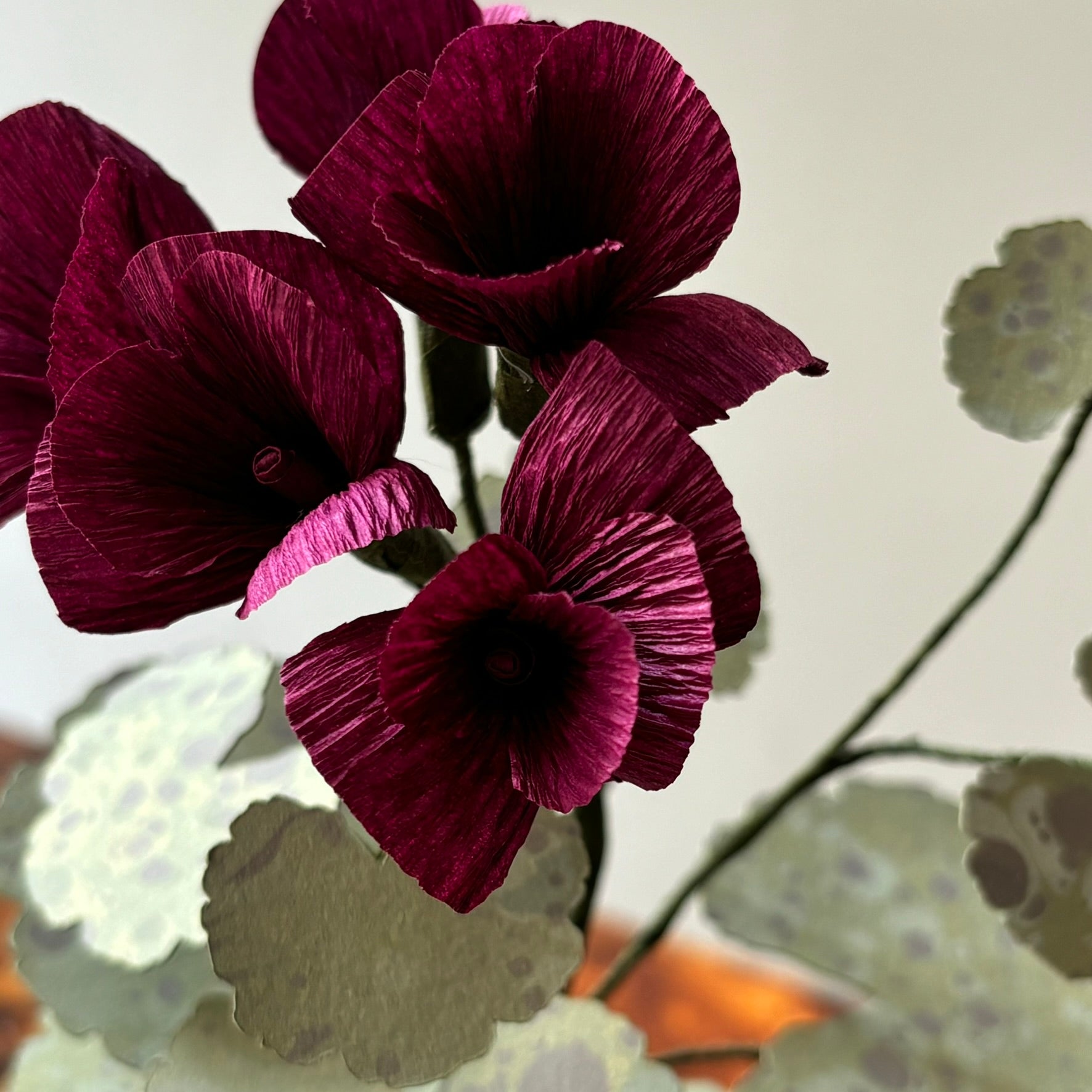 Paper Geranium
