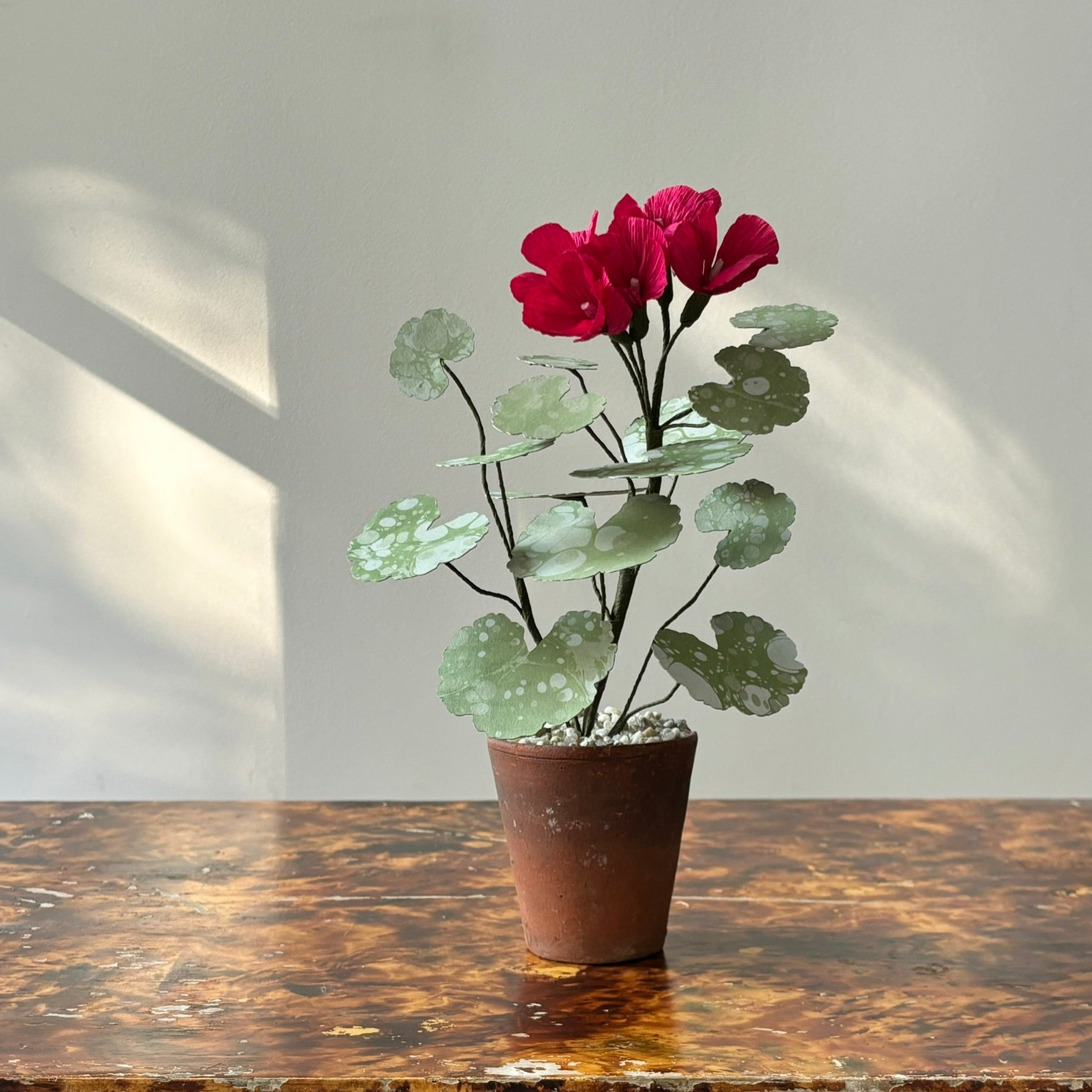 Paper Geranium