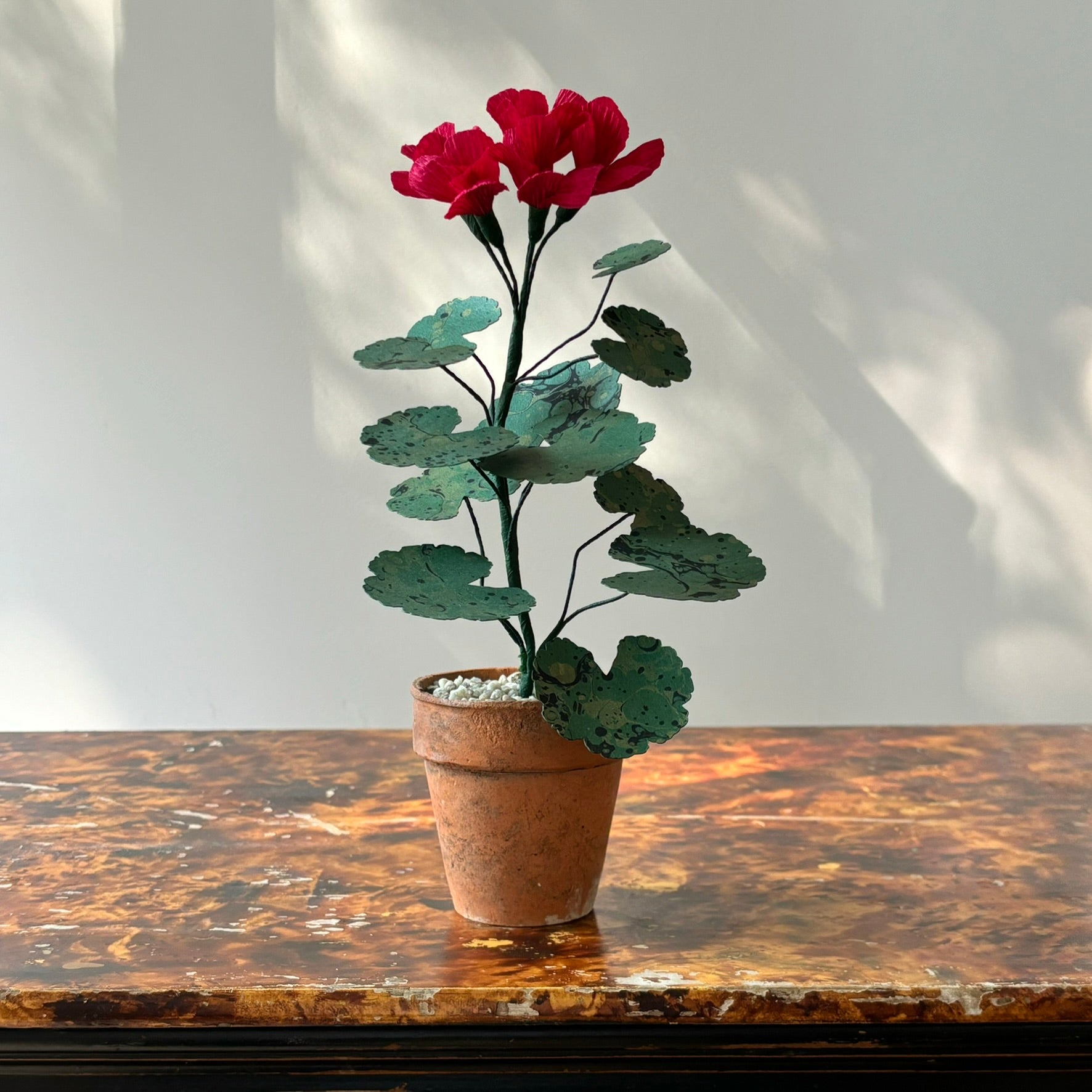 Paper Geranium
