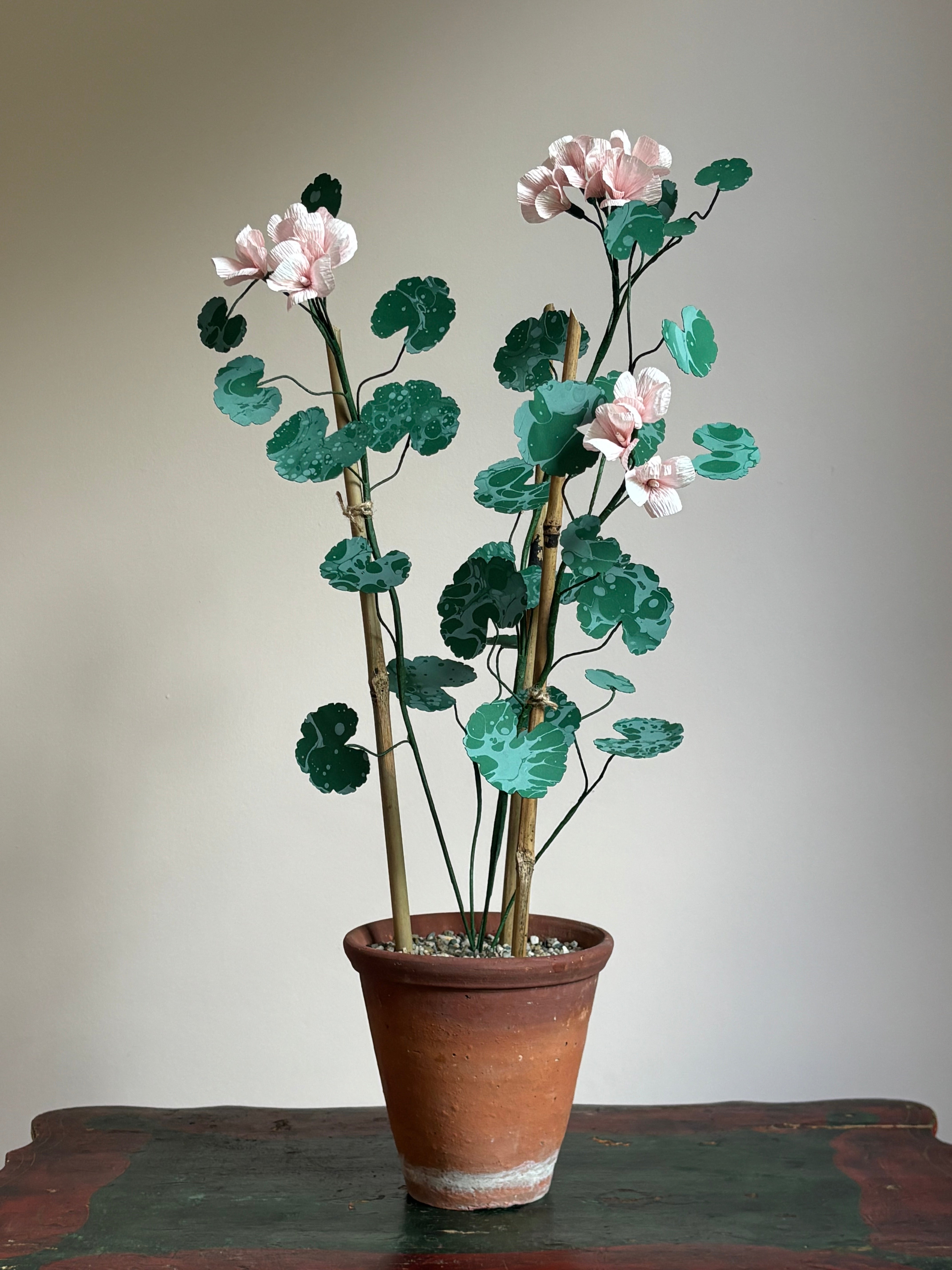 Paper Geranium