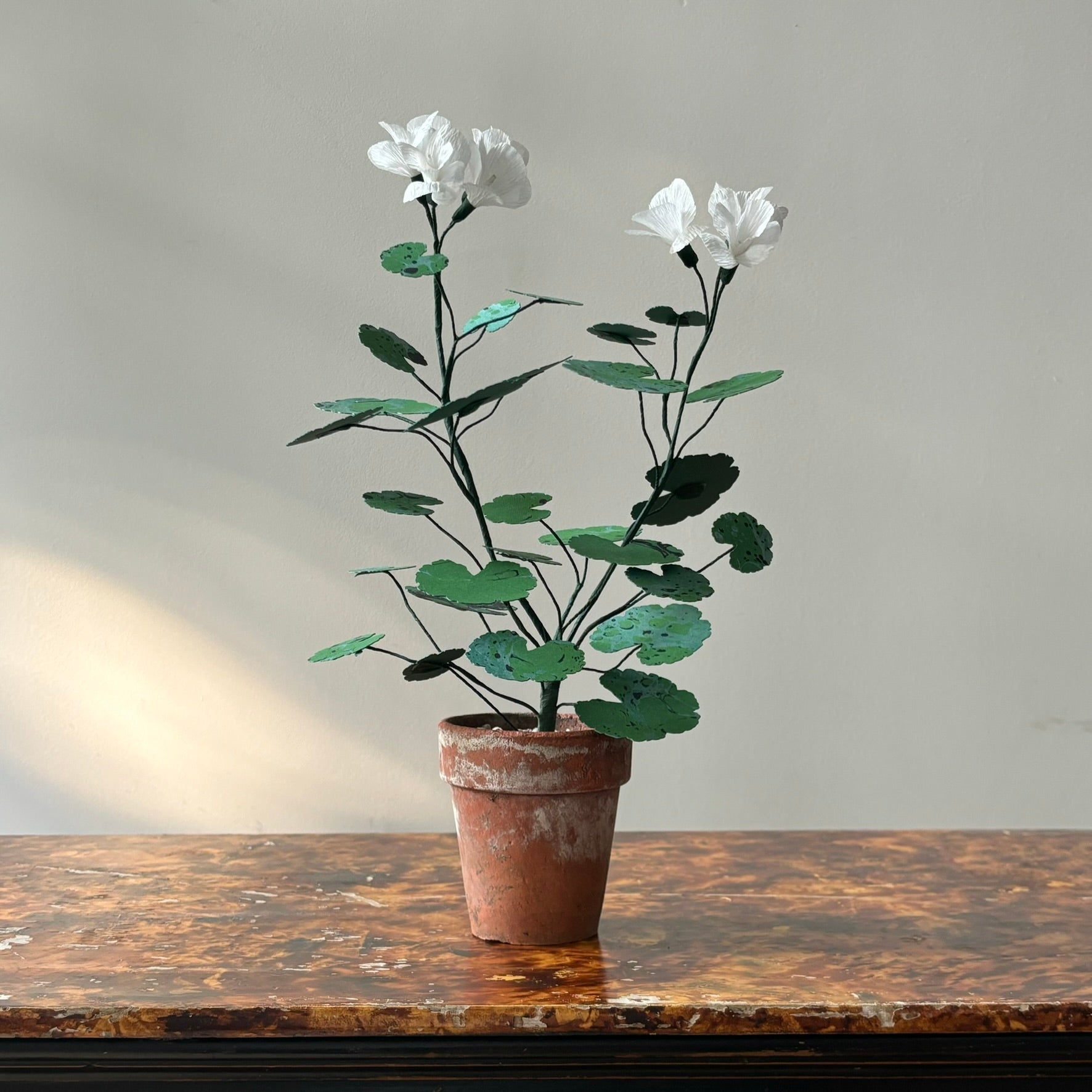 Paper Geranium
