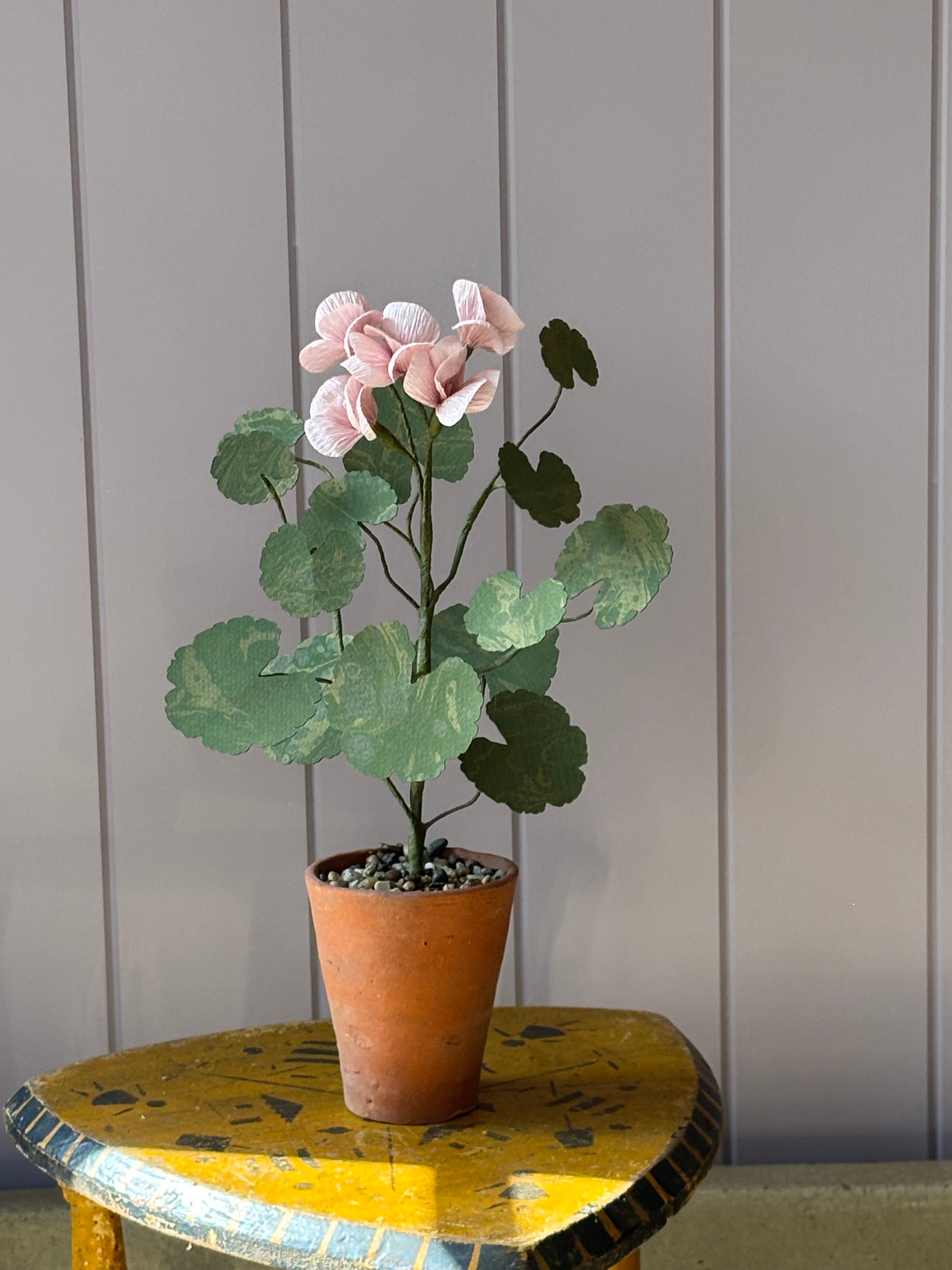 Paper Geranium