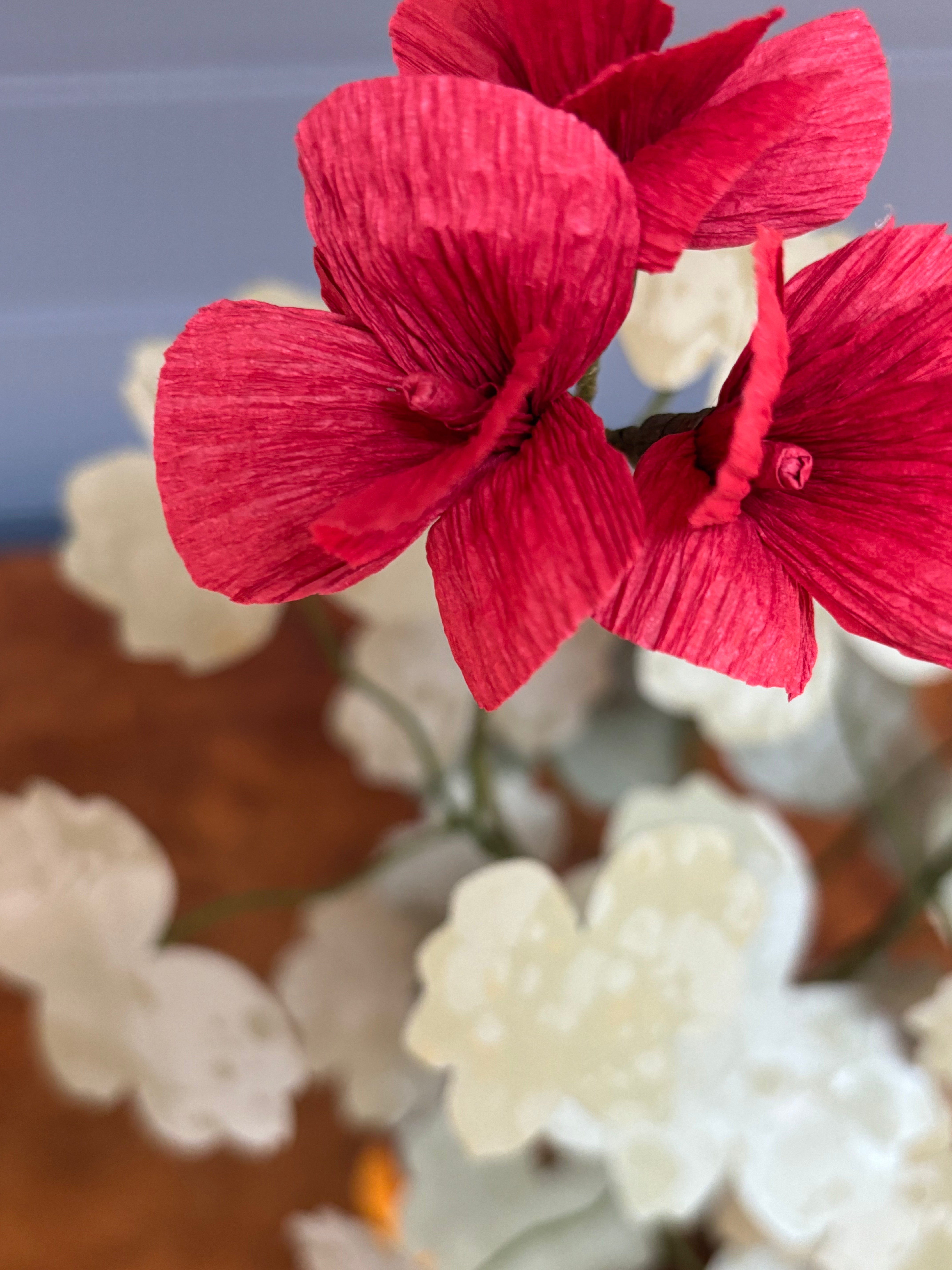 Geranium