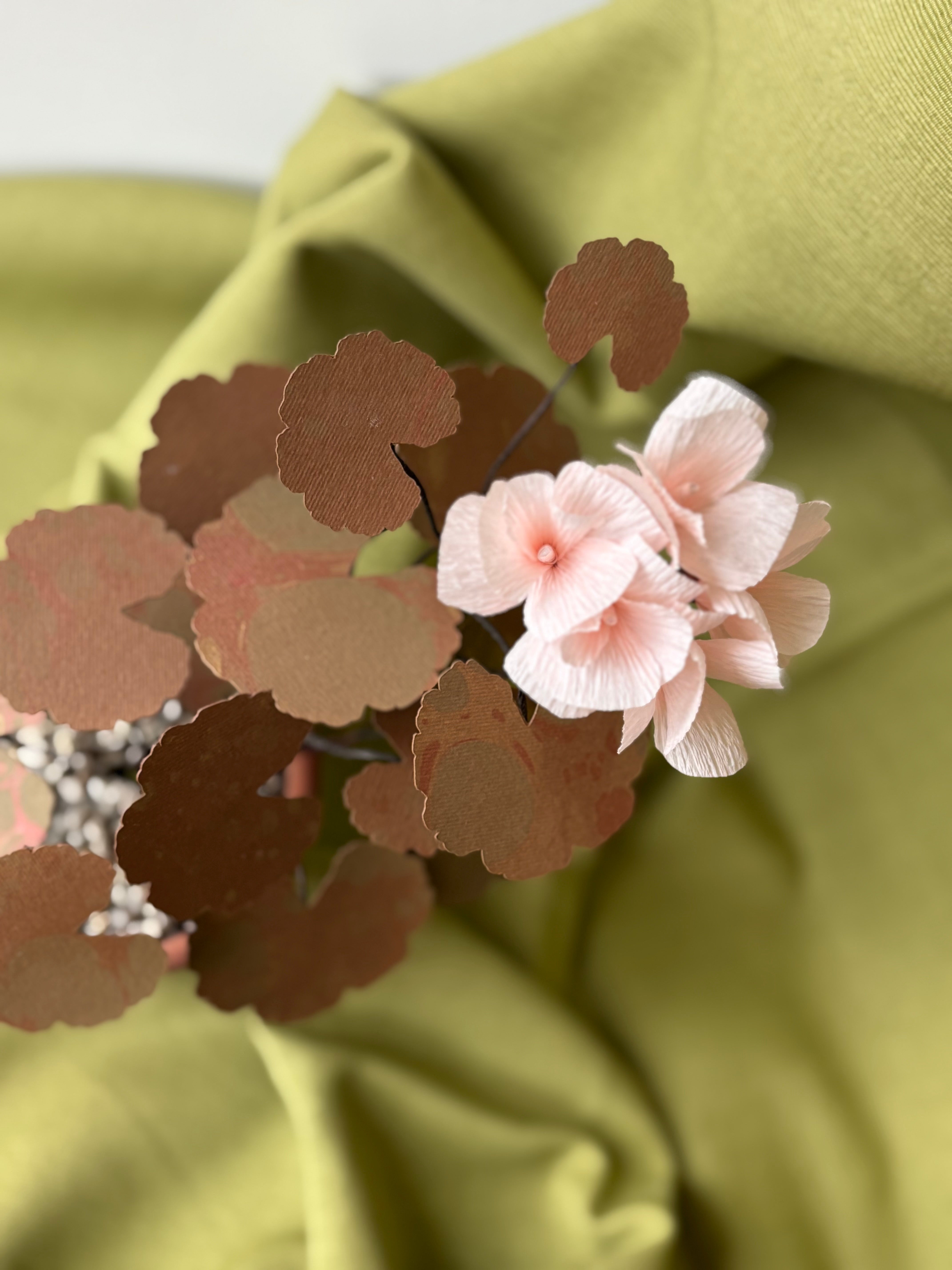 Paper Geranium