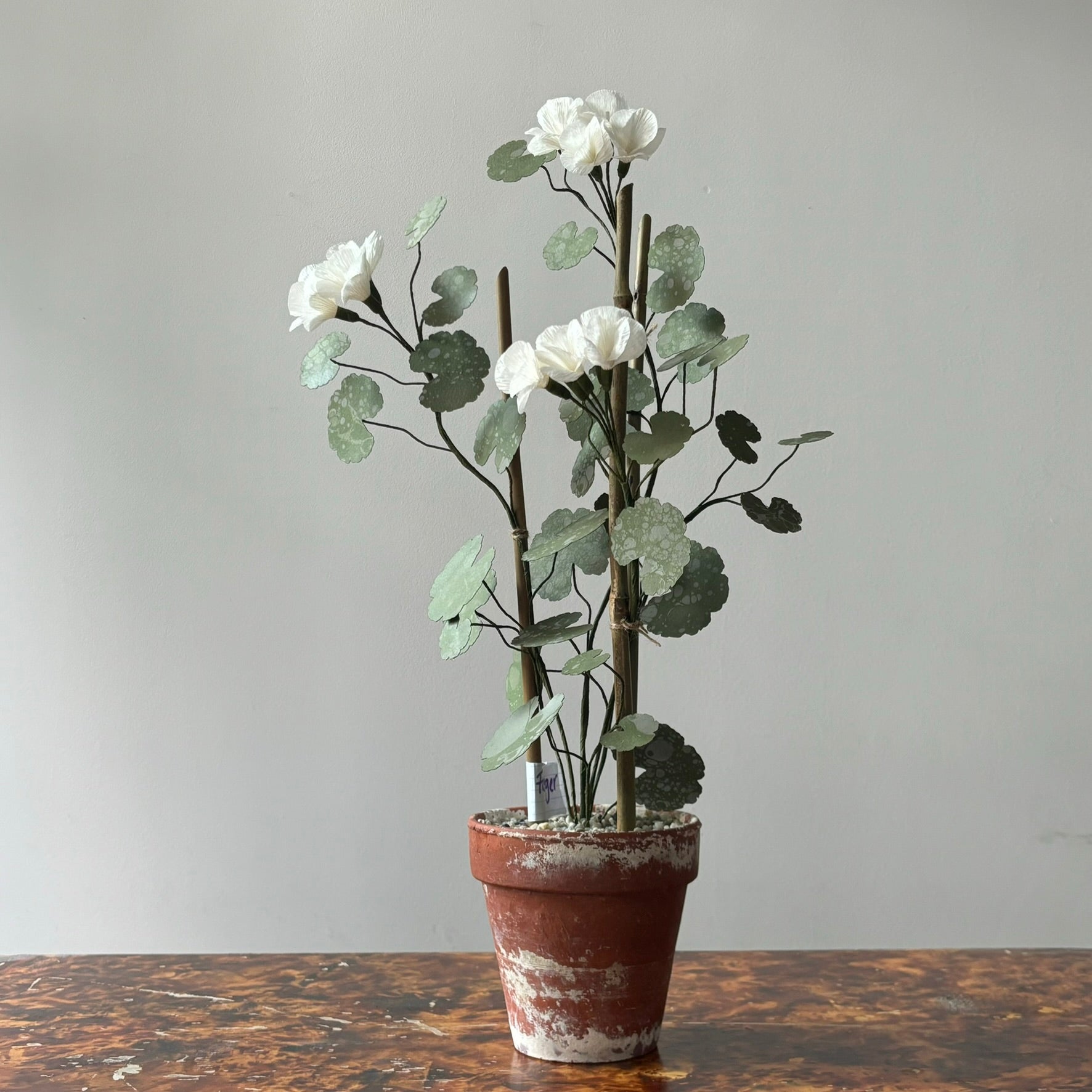 Paper Geranium